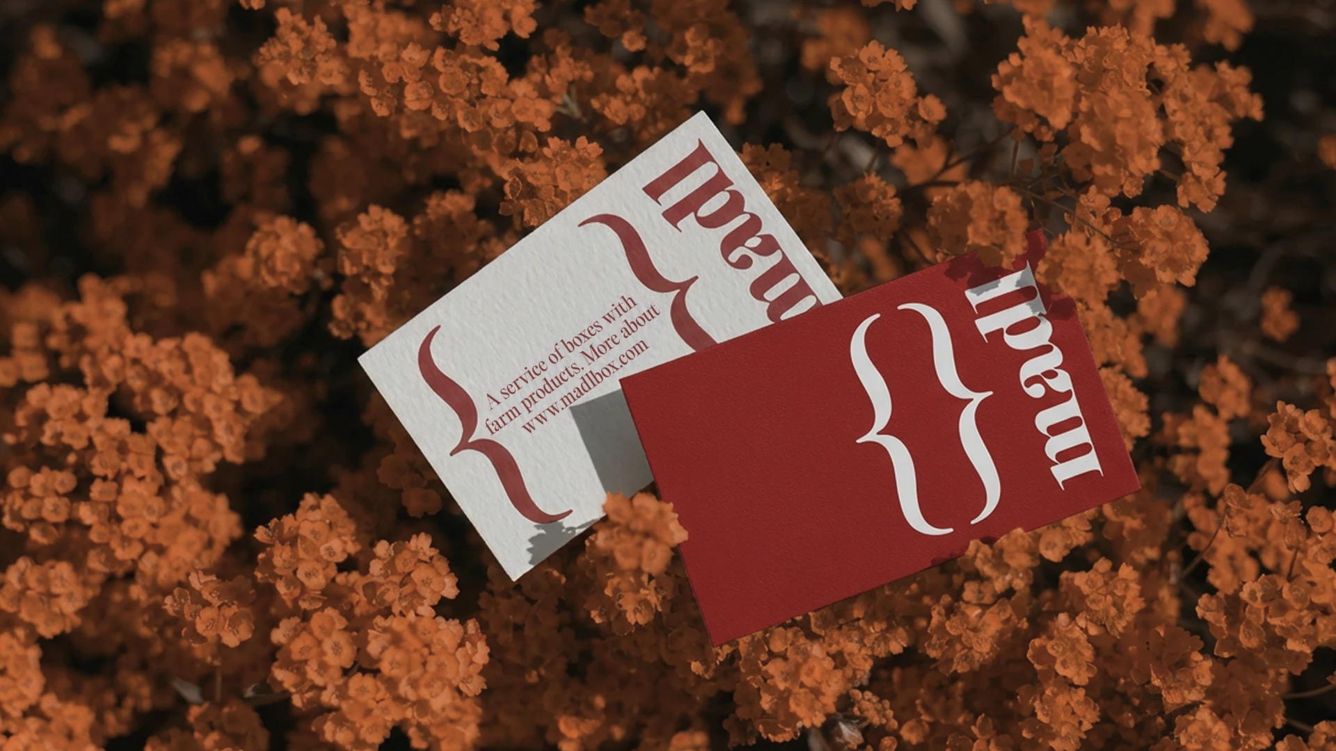 MADL — Изображение №2 — Брендинг, Графика на Dprofile