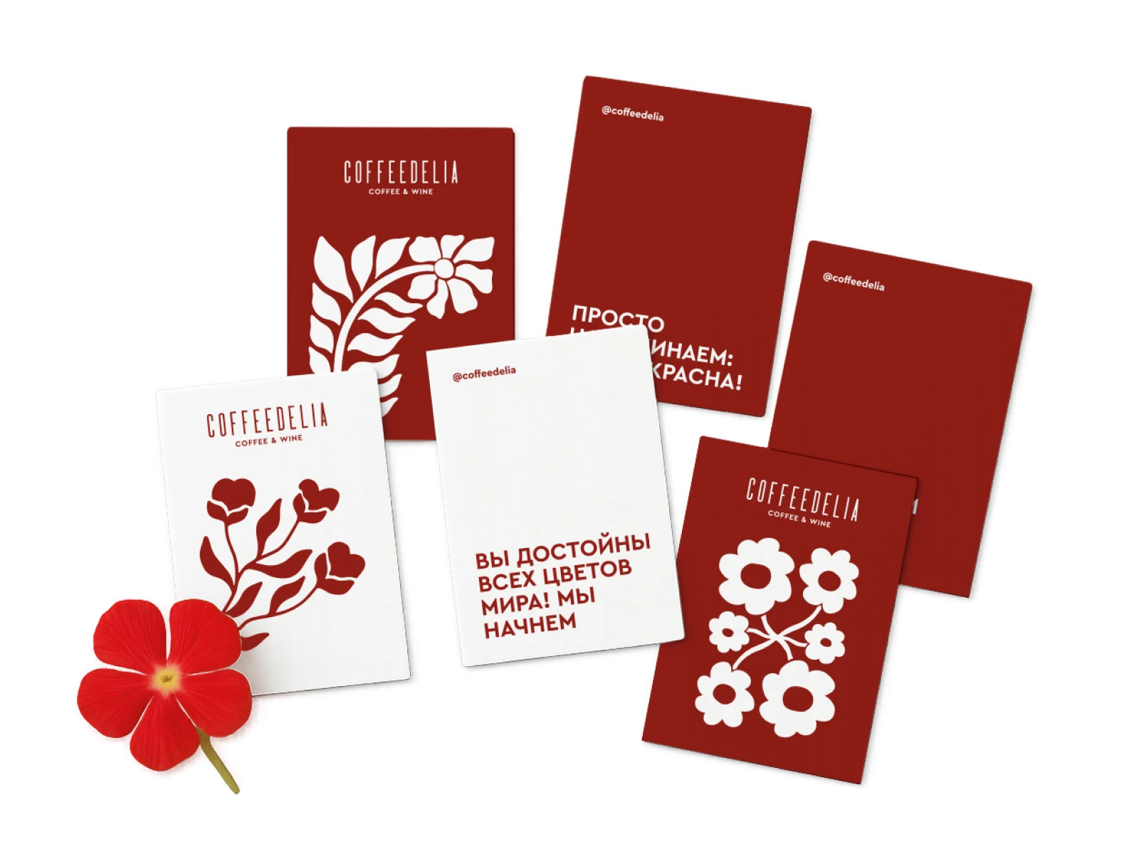 Coffeedelia — Изображение №8 — Брендинг на Dprofile