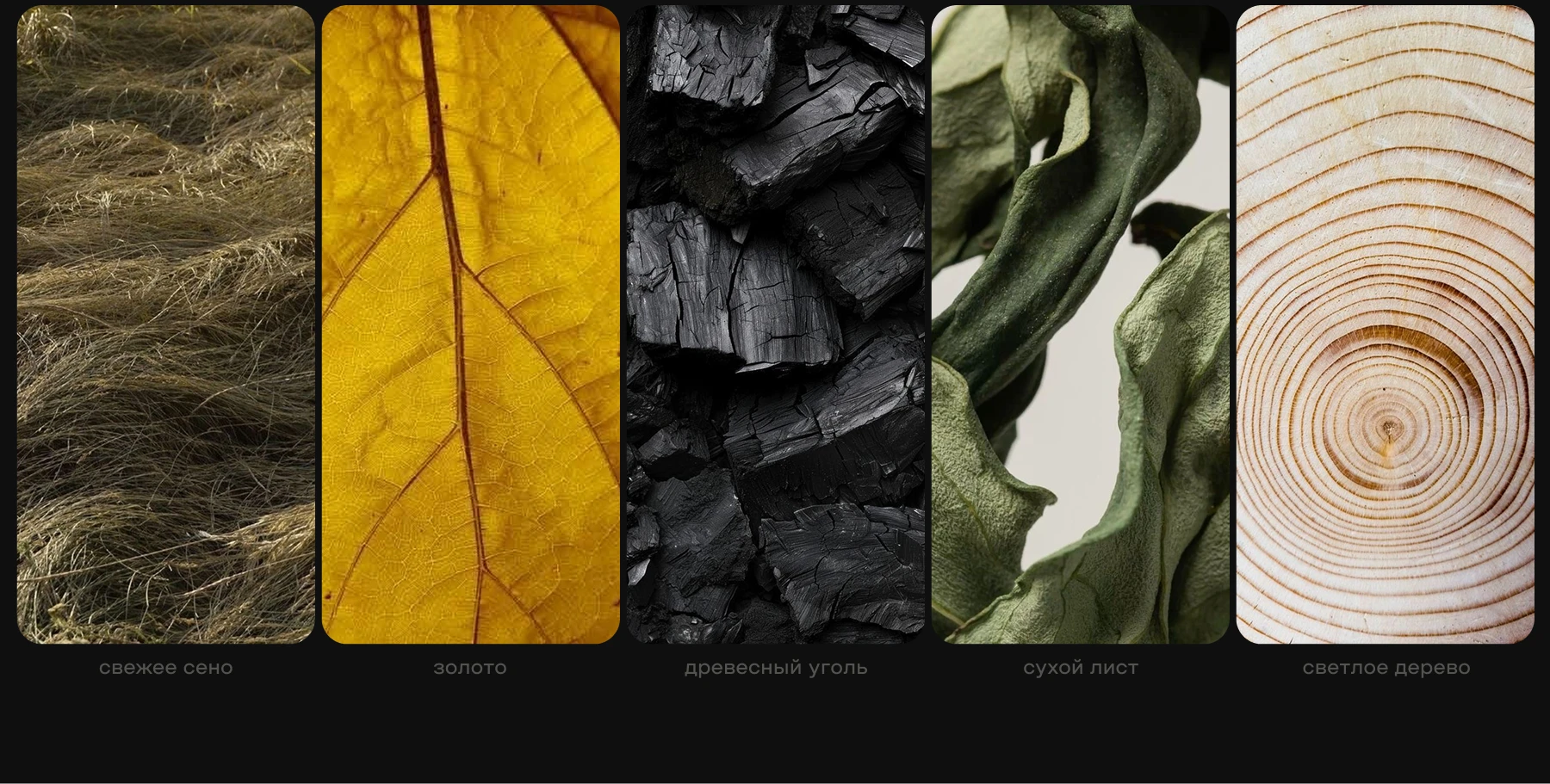 BROOMS SPA reBranding — Изображение №8 — Брендинг, Графика на Dprofile