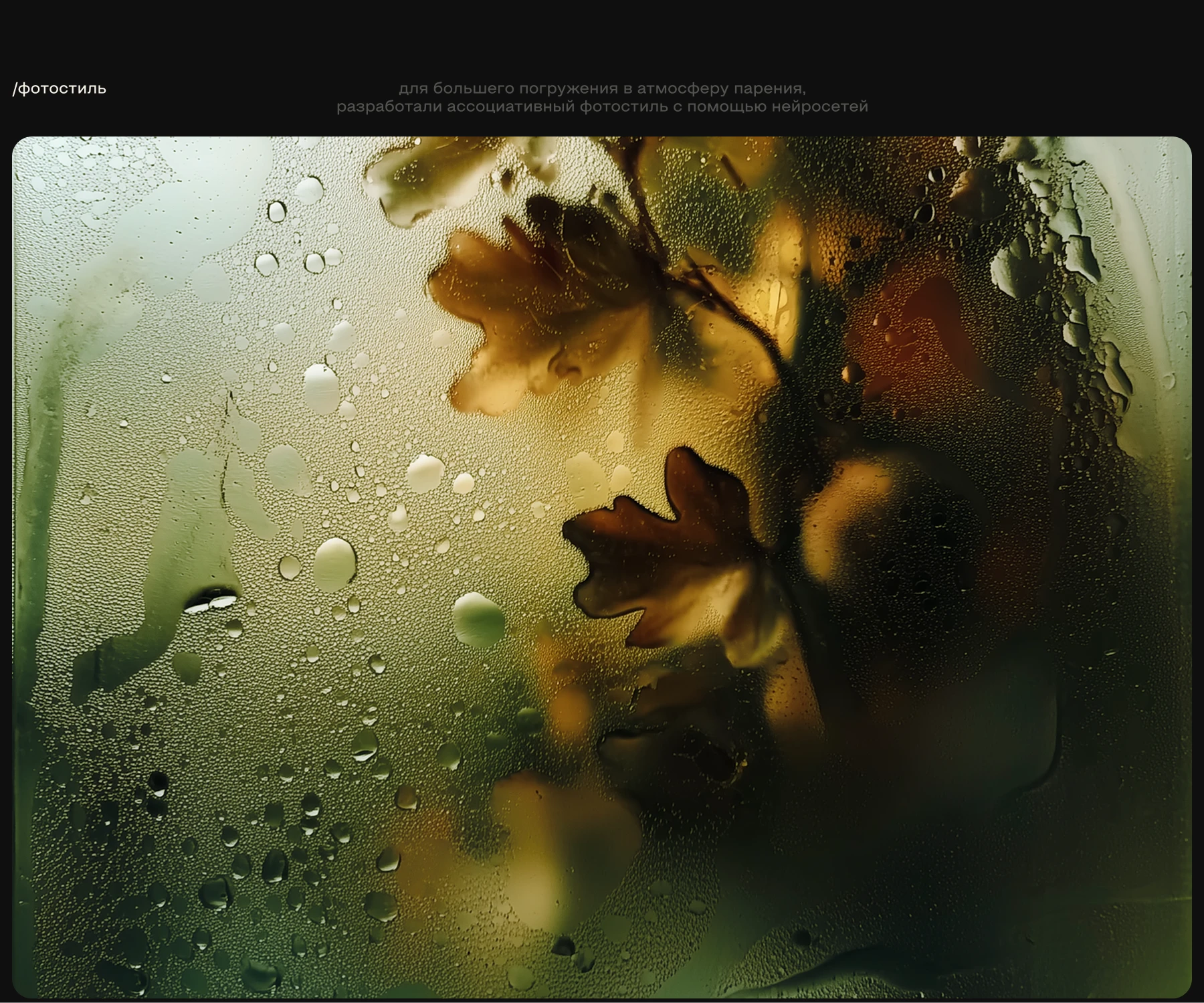 BROOMS SPA reBranding — Изображение №12 — Брендинг, Графика на Dprofile