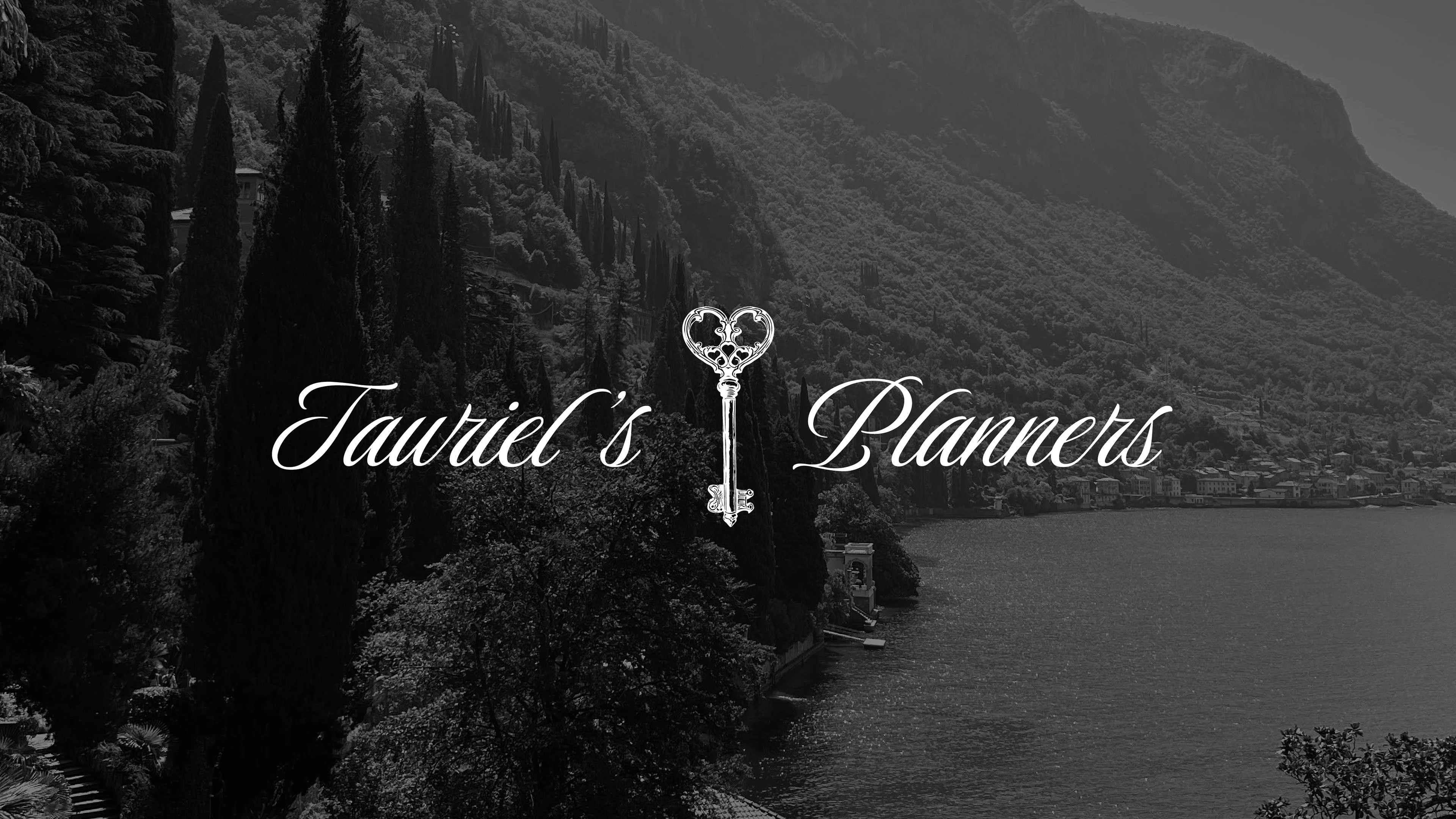 TAURIEL'S PLANNERS / BRAND IDENTITY — Изображение №1 — Брендинг на Dprofile