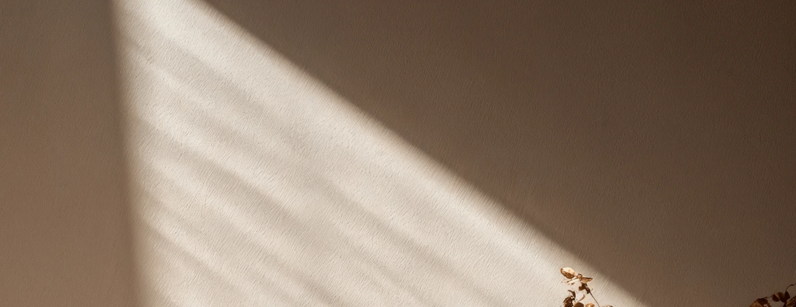 (   I A W   ) — International Architectur Werkstatt — Изображение №40 — Интерфейсы, Брендинг на Dprofile