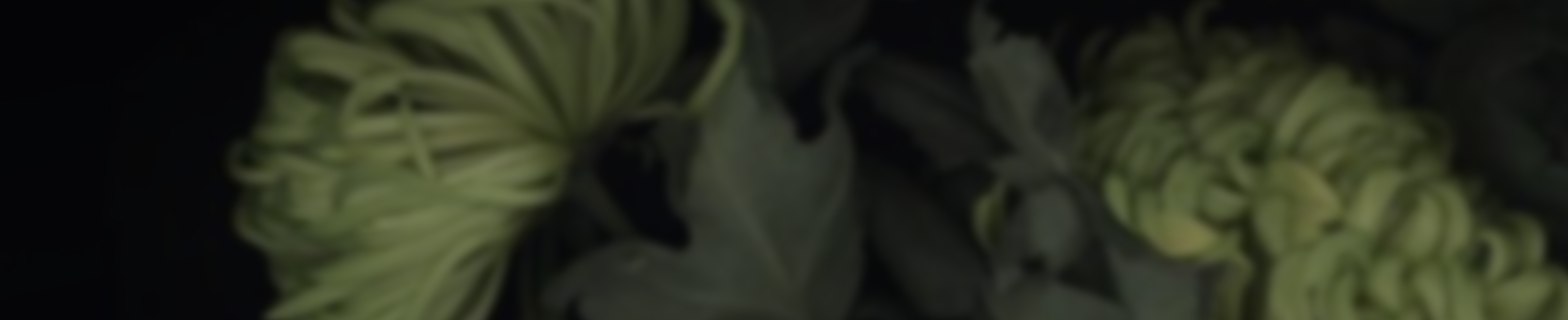 [ Gentle tattoo ]. сайт и полная упаковка тату-мастера — Изображение №5 — Интерфейсы, Брендинг на Dprofile