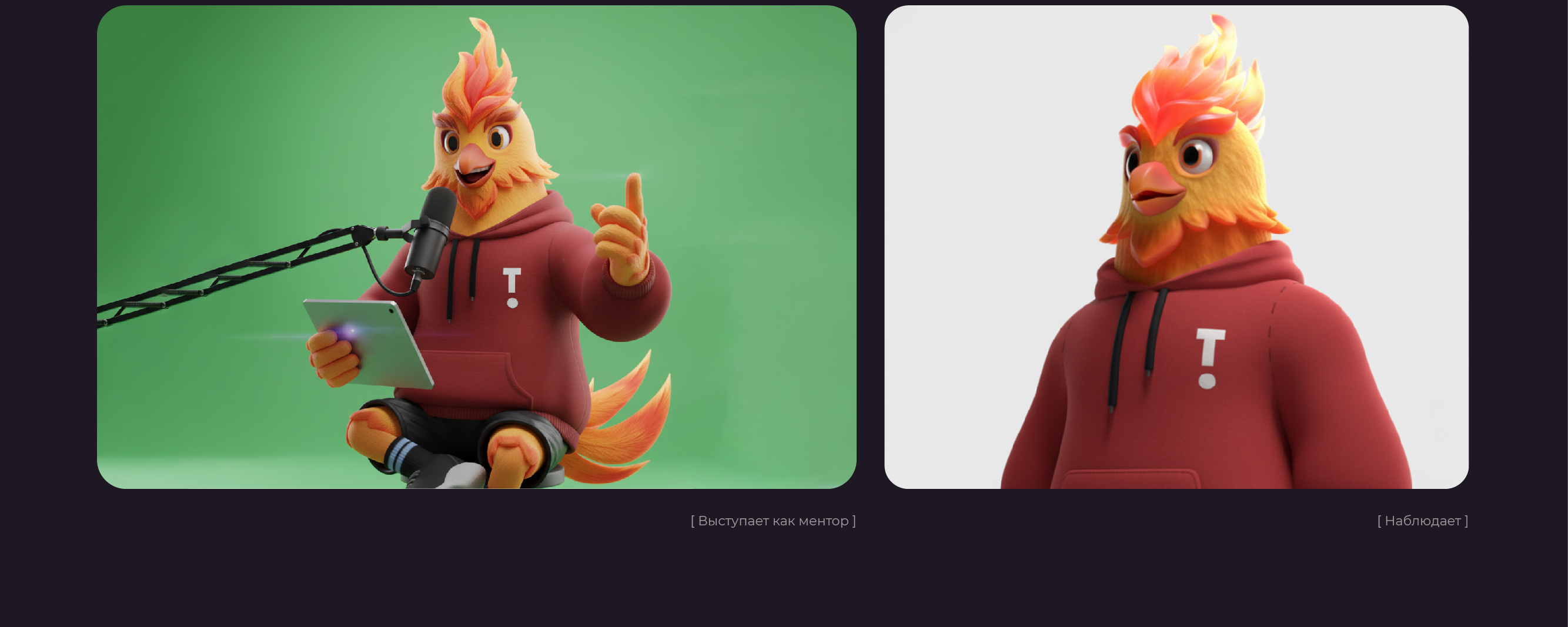 Феникс ТиДи — маскот для Таврида.Арт — Изображение №7 — Брендинг, Иллюстрация на Dprofile