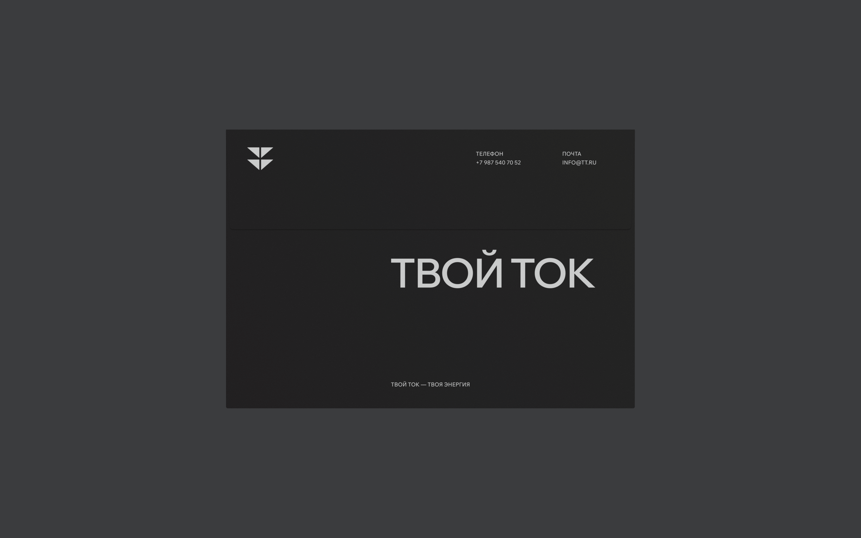 Твой Ток — Изображение №10 — Брендинг на Dprofile