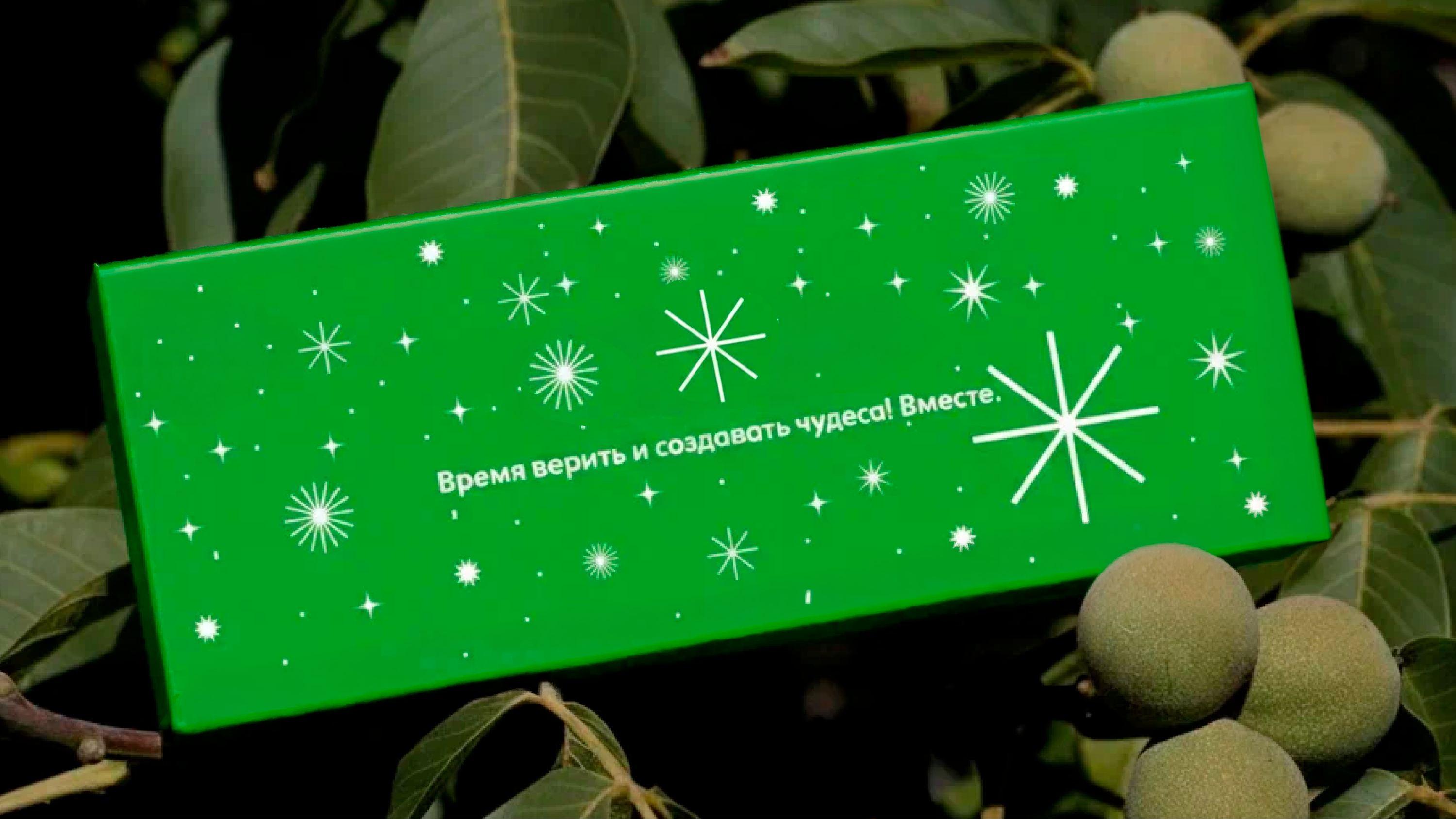 Новогодний набор.Архитектура уюта — Изображение №1 — Брендинг на Dprofile