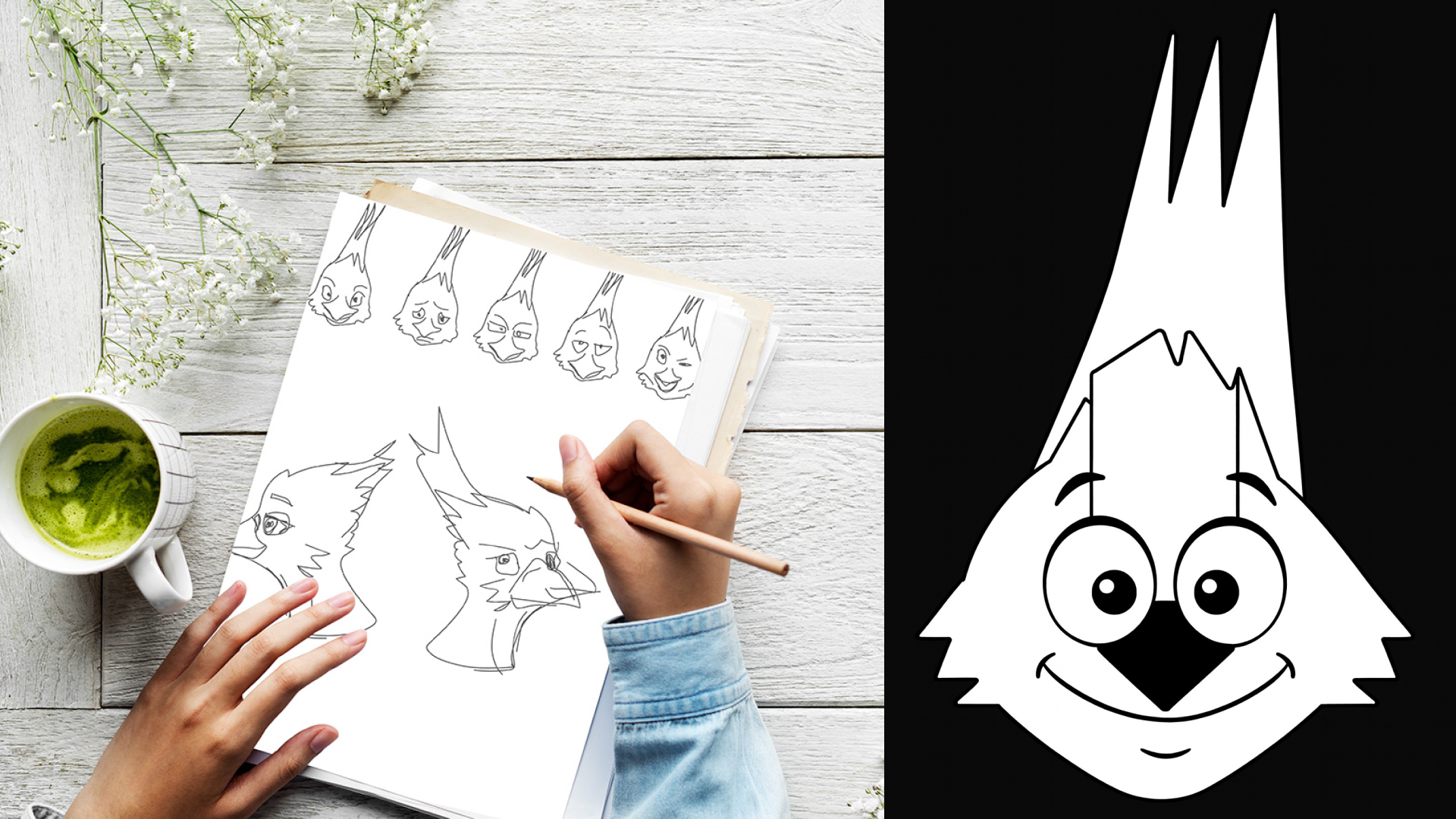 Маскот Vanellus vanellus (CHIBIS) — Изображение №5 — Брендинг, Иллюстрация на Dprofile