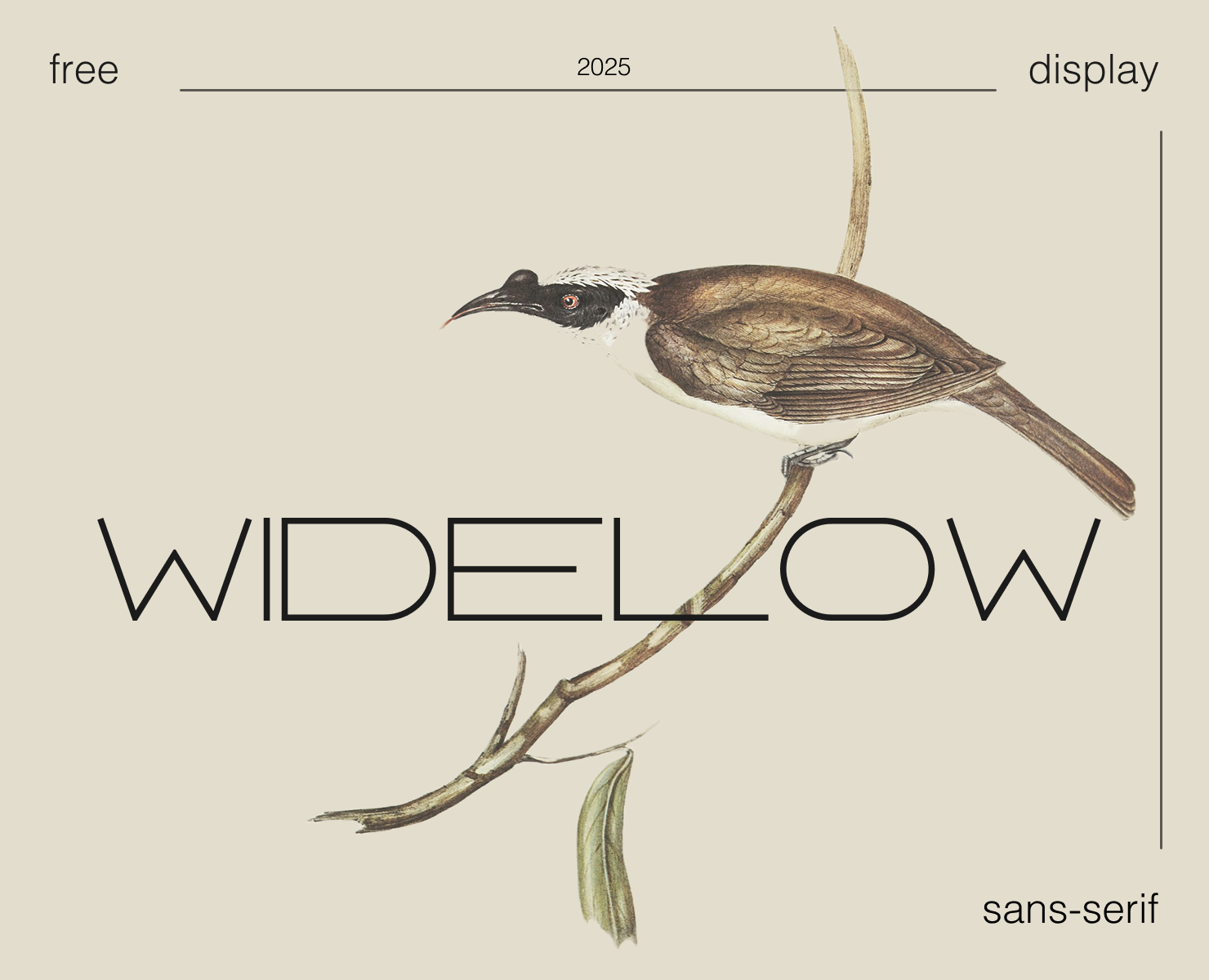 Шрифт Widelow на Dprofile