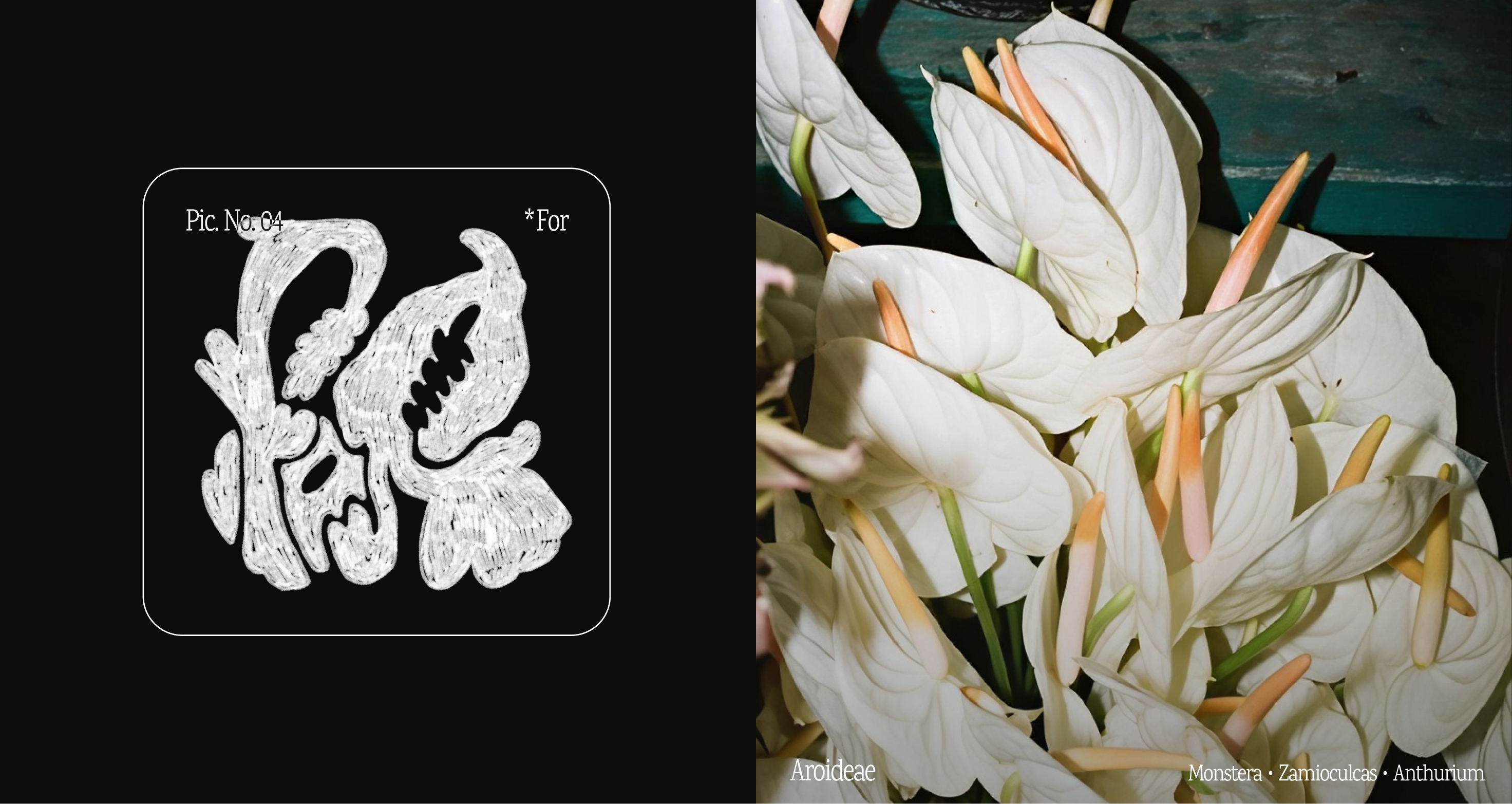 habitat — Изображение №12 — Брендинг, Графика на Dprofile