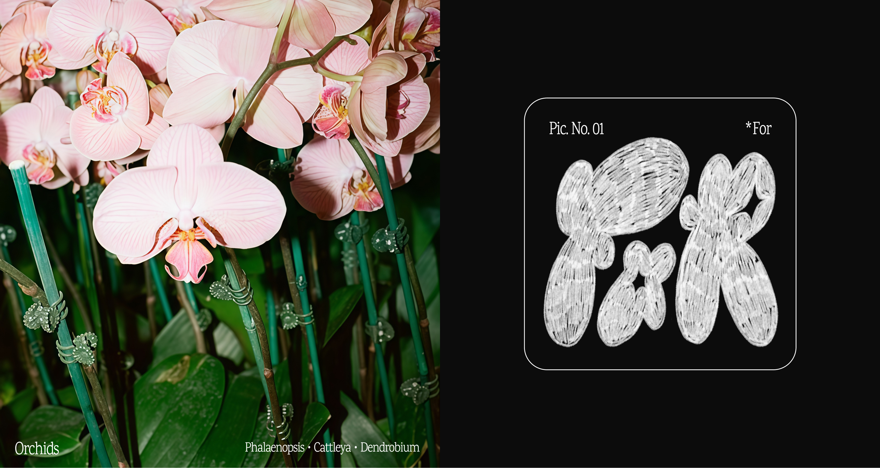 habitat — Изображение №9 — Брендинг, Графика на Dprofile