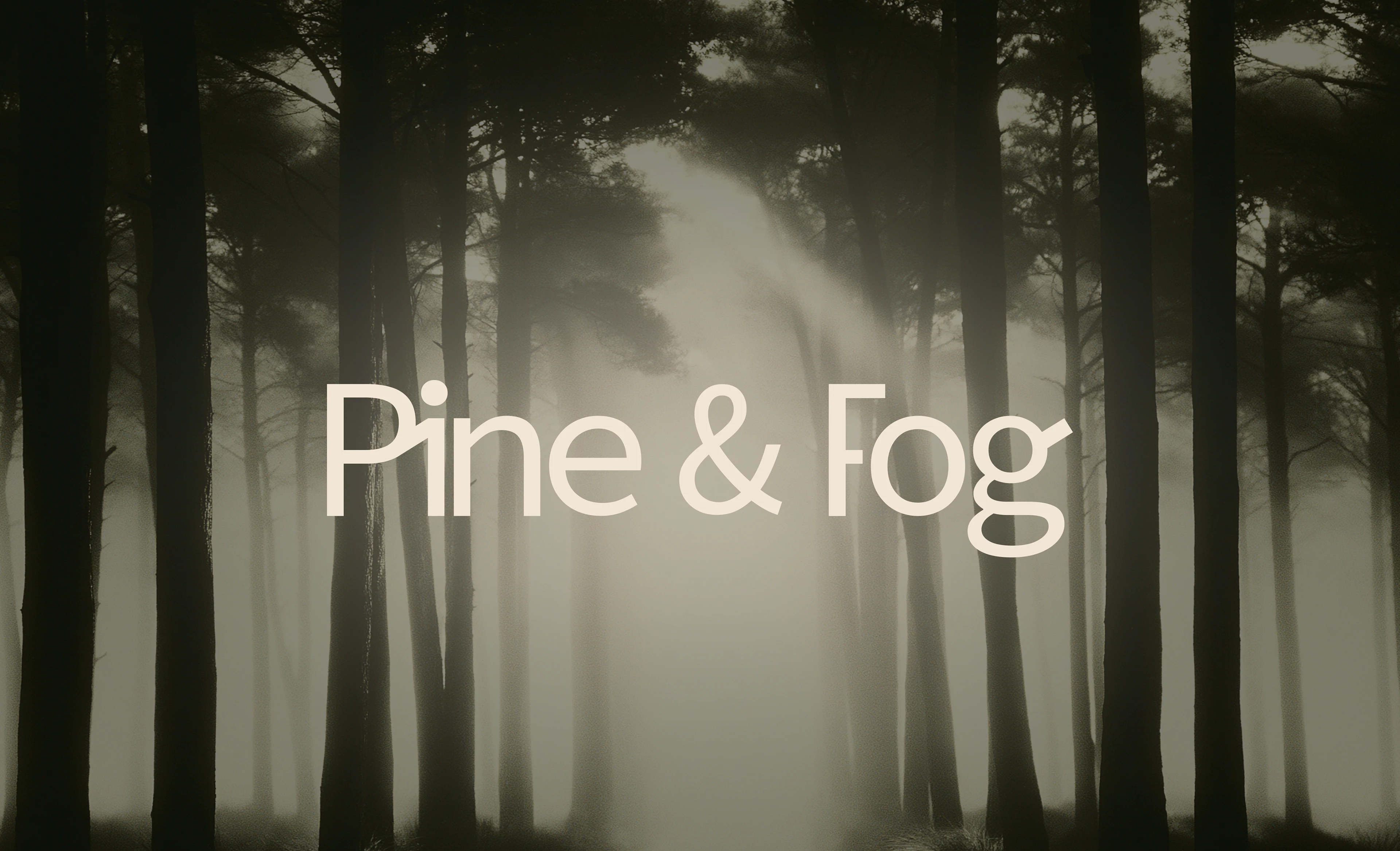 Pine & Fog - Specialty Coffee Brand Identity — Изображение №1 — Брендинг на Dprofile