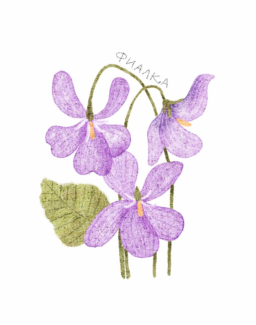 Ботанические иллюстрации — Изображение №3 — Иллюстрация, Графика на Dprofile