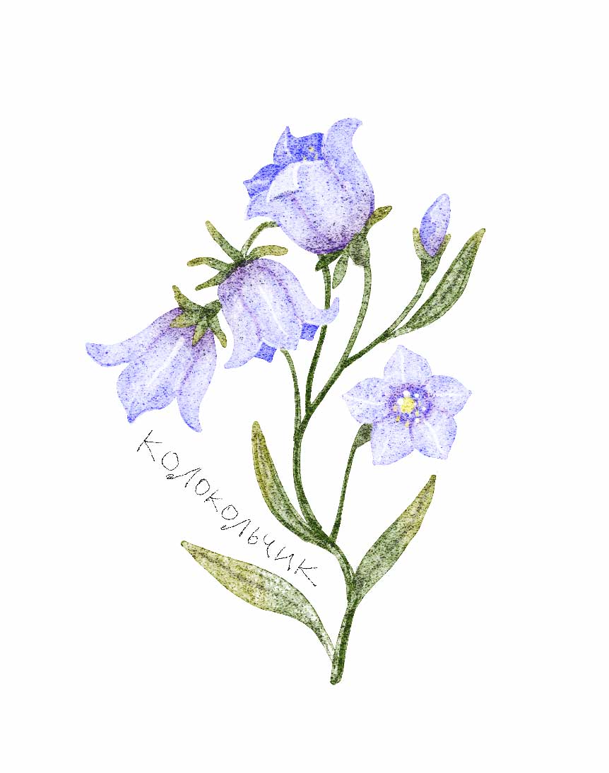 Ботанические иллюстрации — Изображение №39 — Иллюстрация, Графика на Dprofile