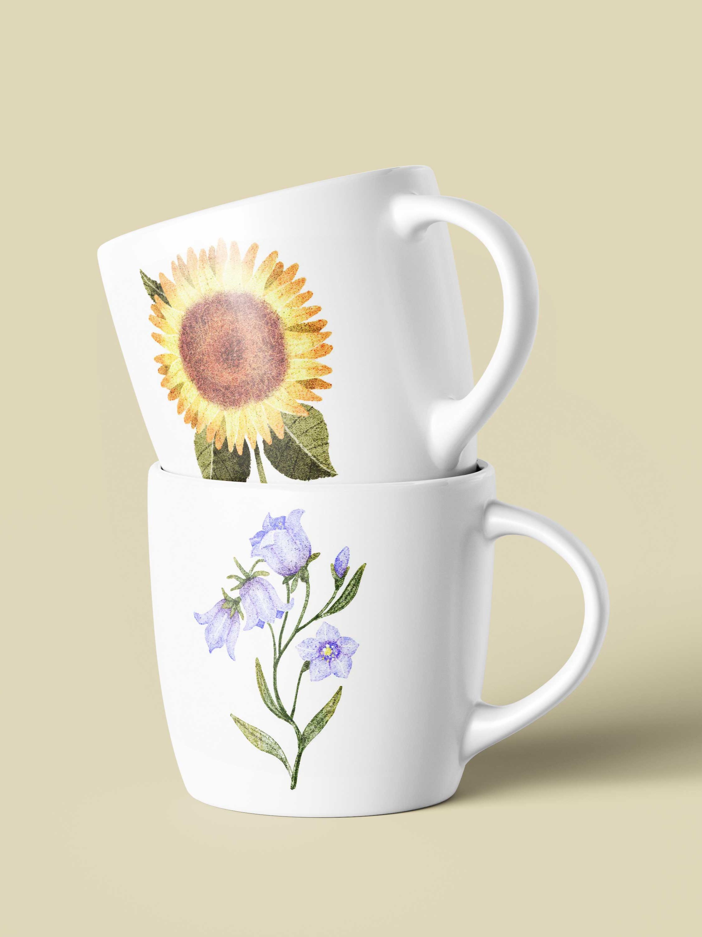 Ботанические иллюстрации — Изображение №37 — Иллюстрация, Графика на Dprofile