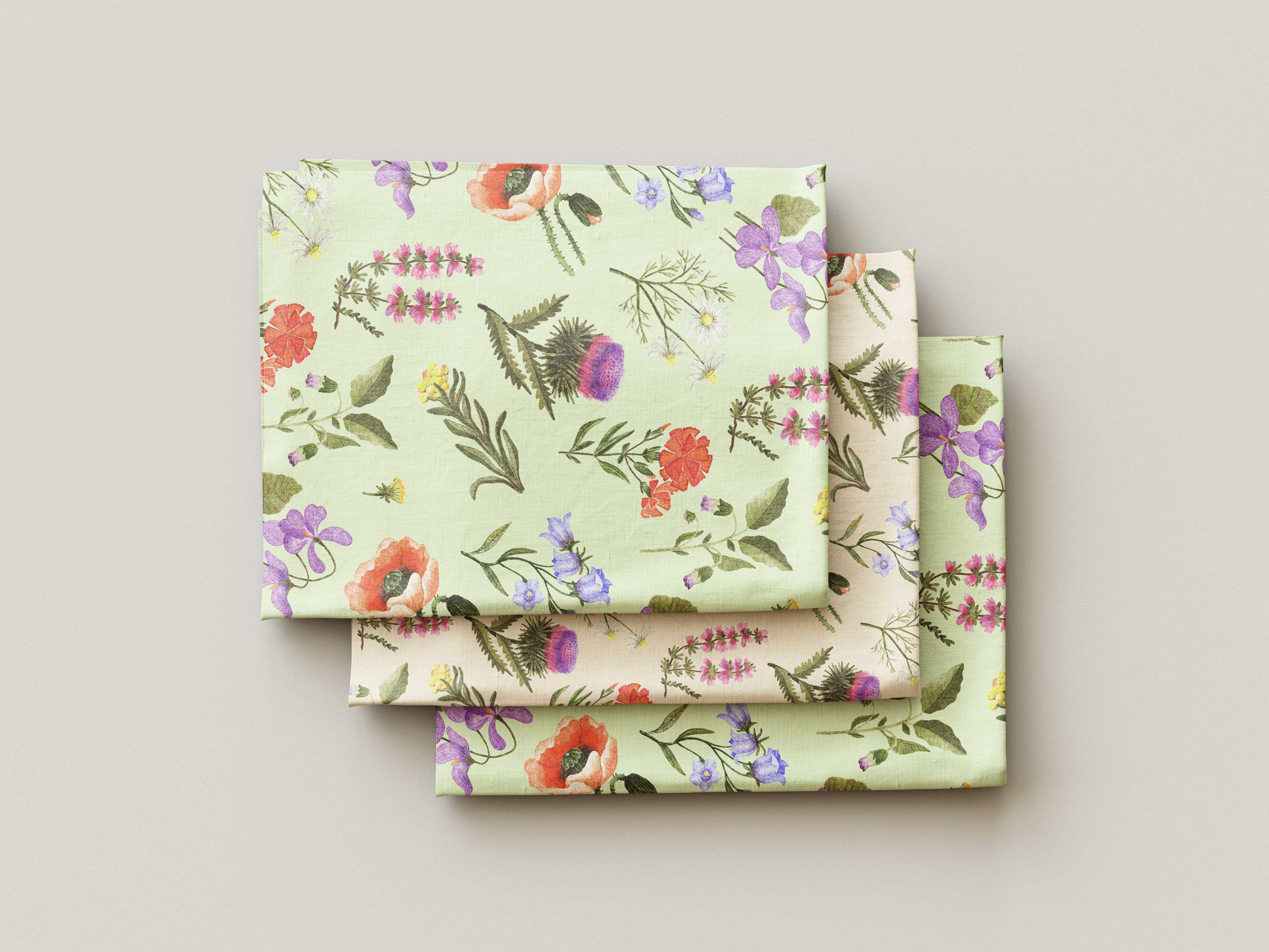 Ботанические иллюстрации — Изображение №41 — Иллюстрация, Графика на Dprofile