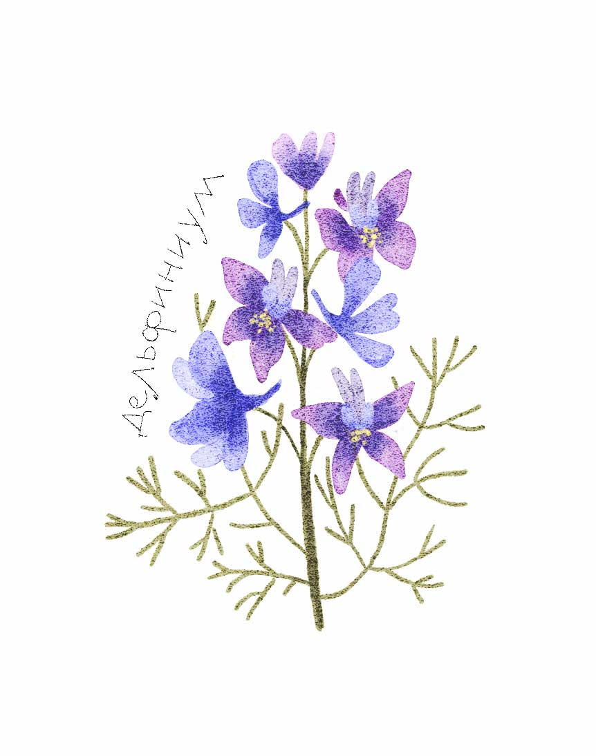 Ботанические иллюстрации — Изображение №9 — Иллюстрация, Графика на Dprofile