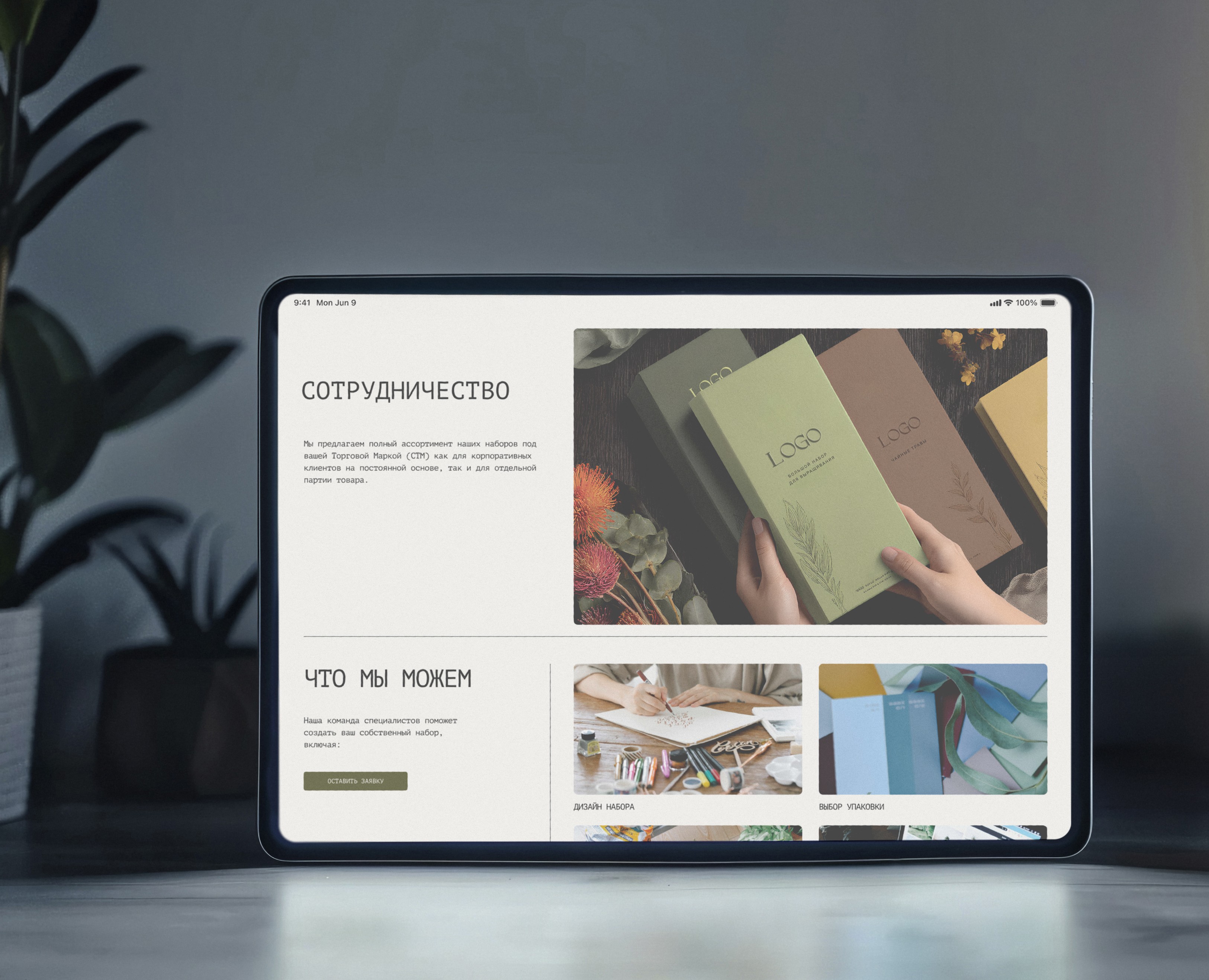 Дизайн и разработка сайта для компании "Про растения" — Интерфейсы, Брендинг на Dprofile