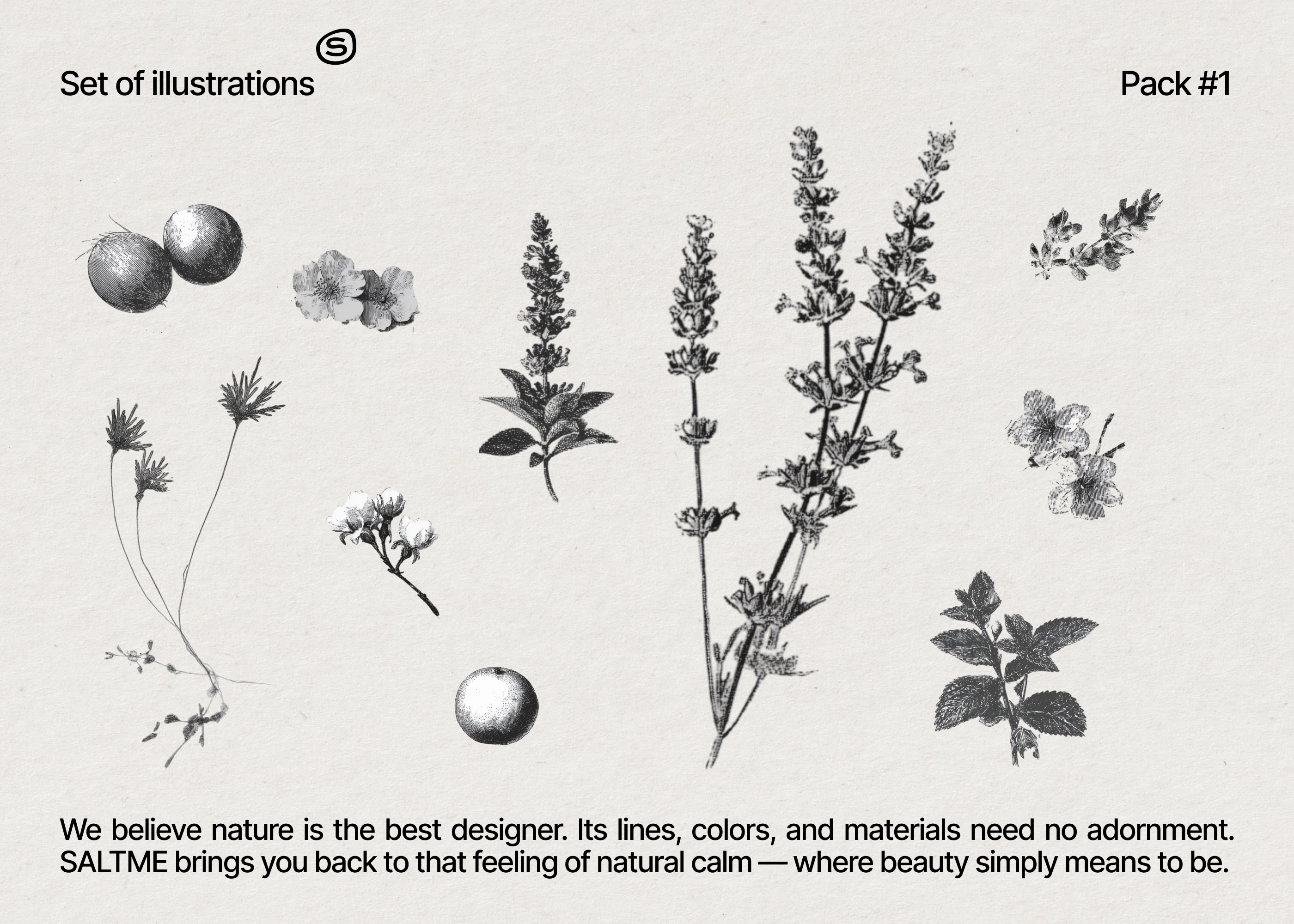 SALTME — BRAND IDENTITY & PACKAGING DESIGN PRODUCT FOR CARE — Изображение №5 — Брендинг на Dprofile