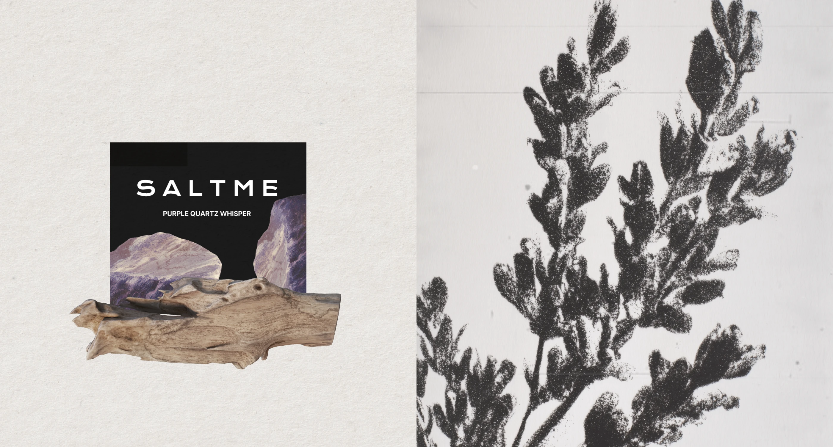 SALTME — BRAND IDENTITY & PACKAGING DESIGN PRODUCT FOR CARE — Изображение №10 — Брендинг на Dprofile