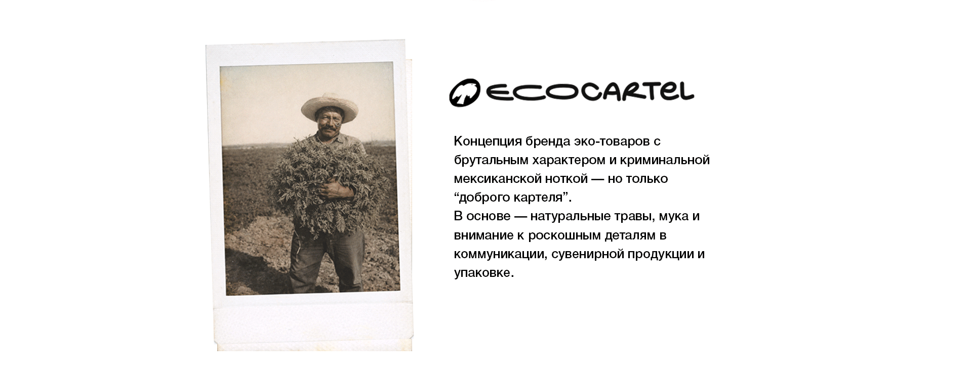 ECO CARTEL — Изображение №3 — Брендинг, Иллюстрация на Dprofile