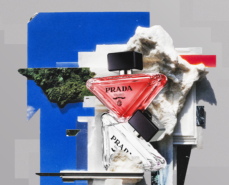 Коллажные визуалы для Le Parfum — Брендинг, Графика на Dprofile