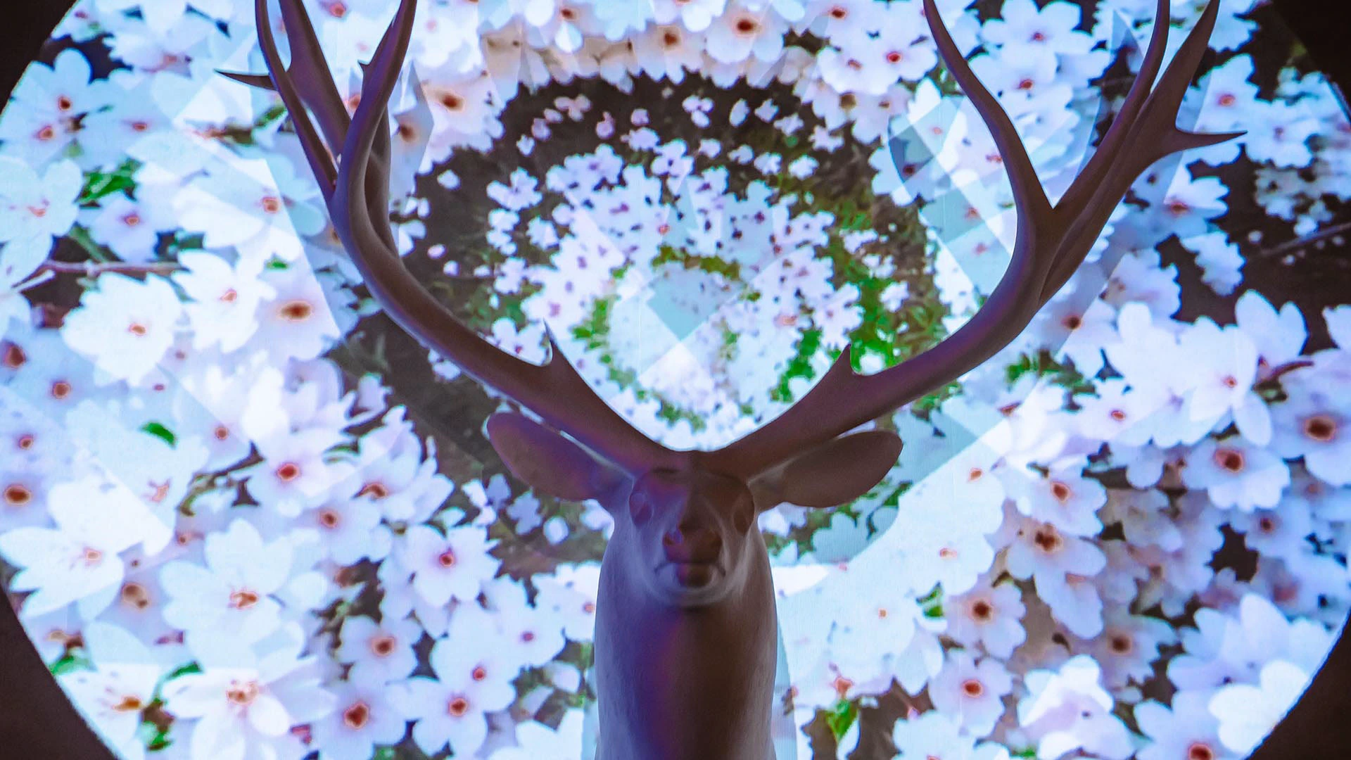 Приключения Барона Мюнхгаузена в России — Изображение №10 — Графика, Анимация на Dprofile