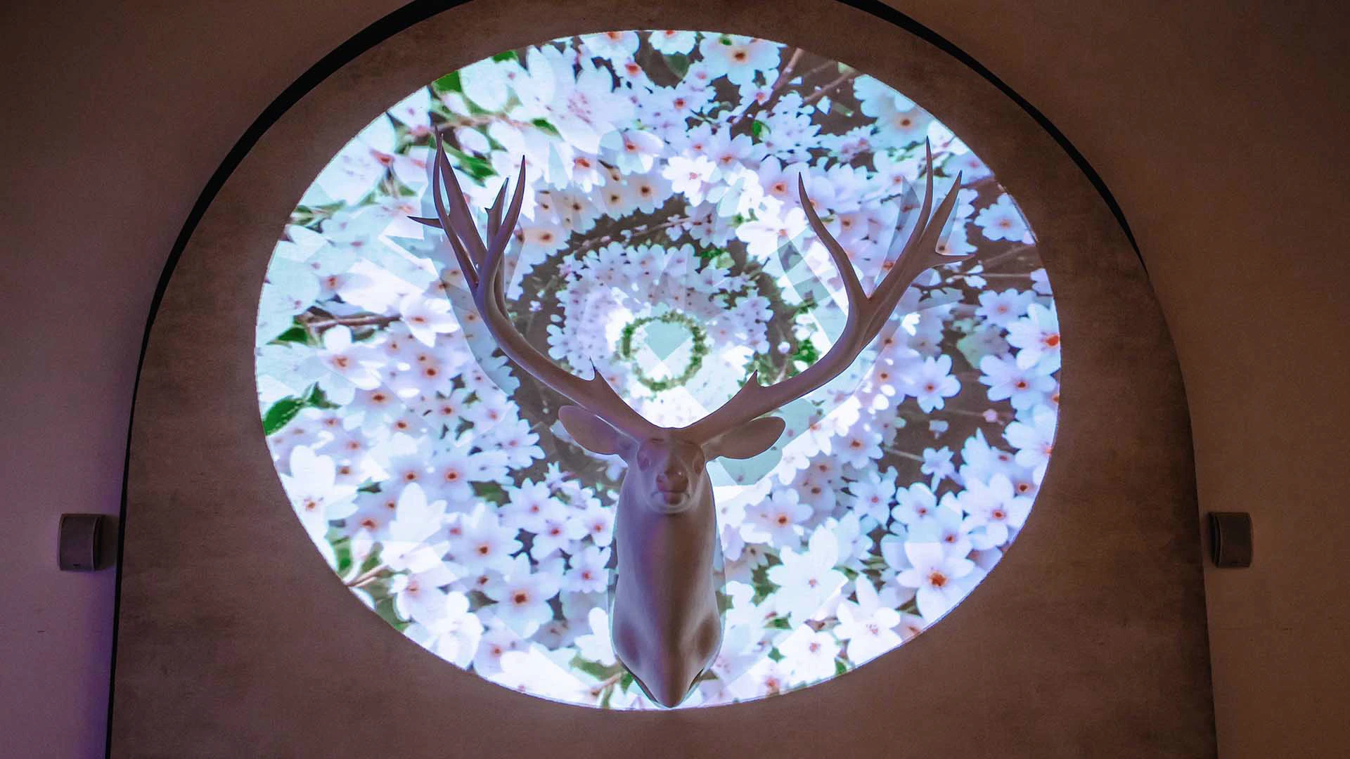 Приключения Барона Мюнхгаузена в России — Изображение №11 — Графика, Анимация на Dprofile