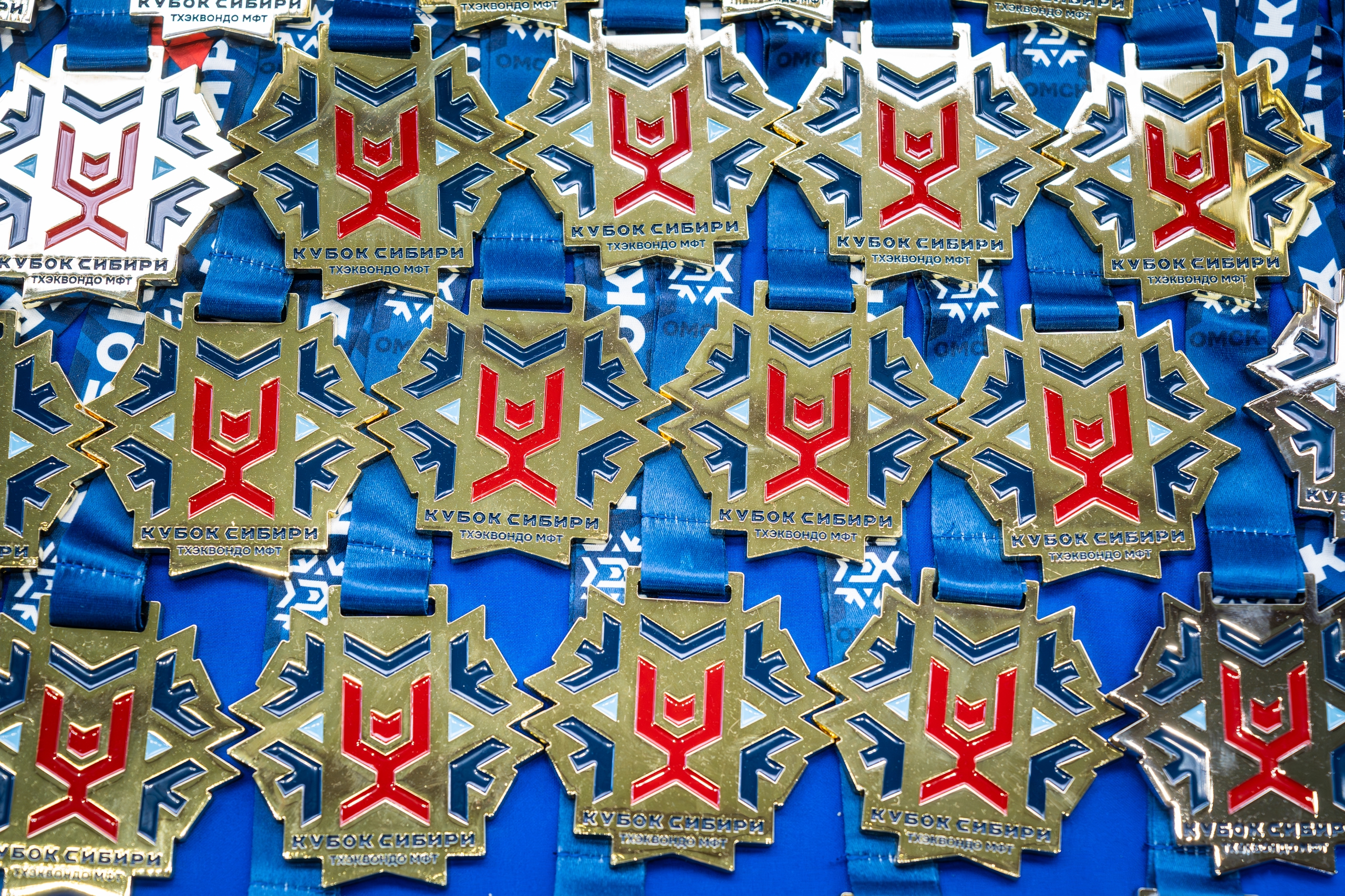 Кубок Сибири 2025 — Соревнования по Тхэквондо МФТ — Изображение №17 — Брендинг на Dprofile