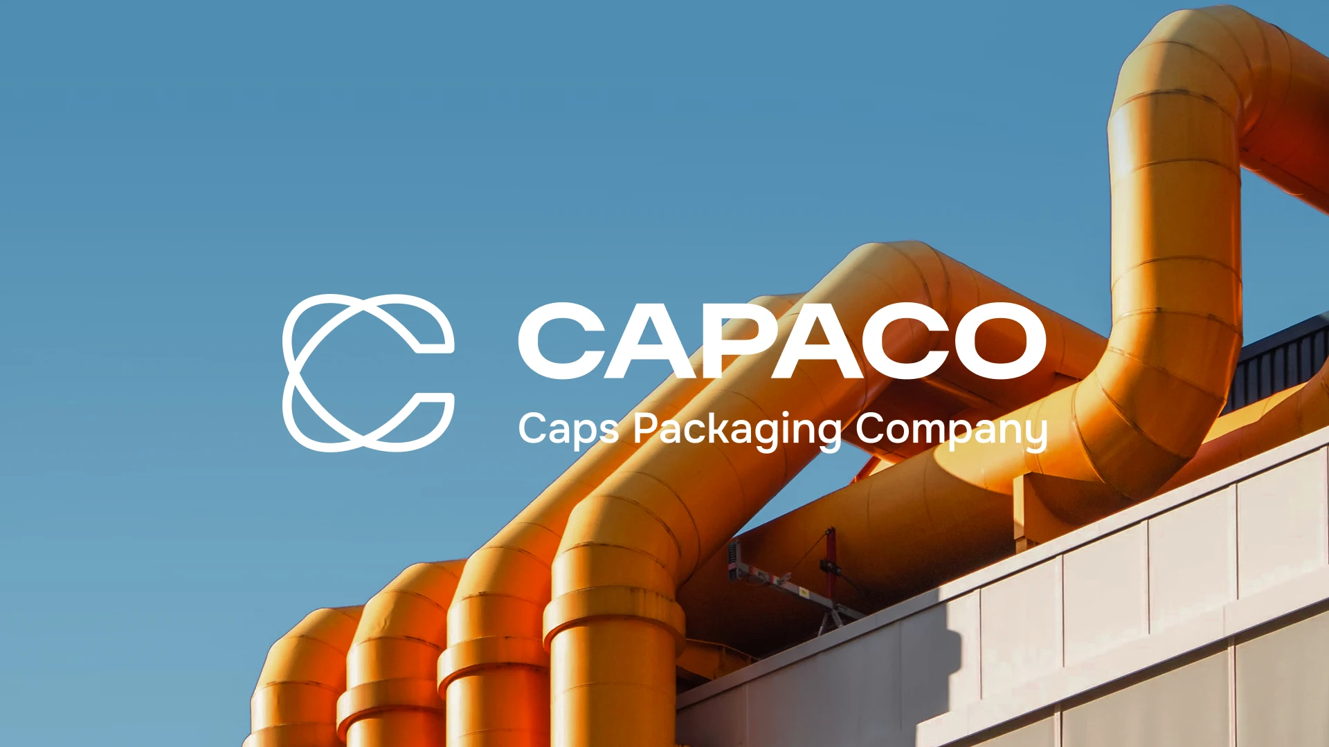 CAPACO — Изображение №1 — Брендинг на Dprofile