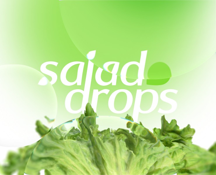 Salad Drops — Брендинг на Dprofile
