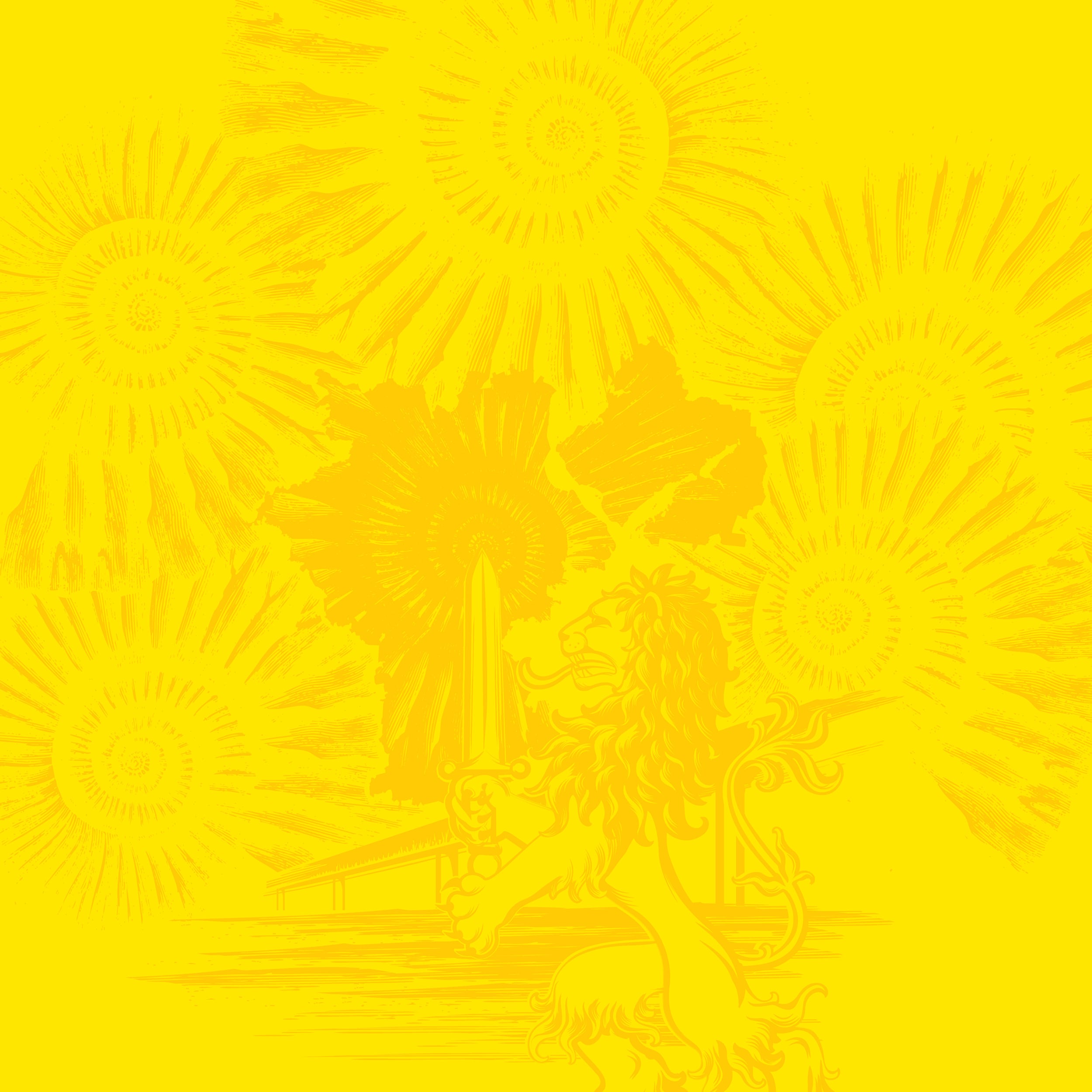 ФК "Волга". Айдентика — Изображение №15 — Брендинг, Графика на Dprofile