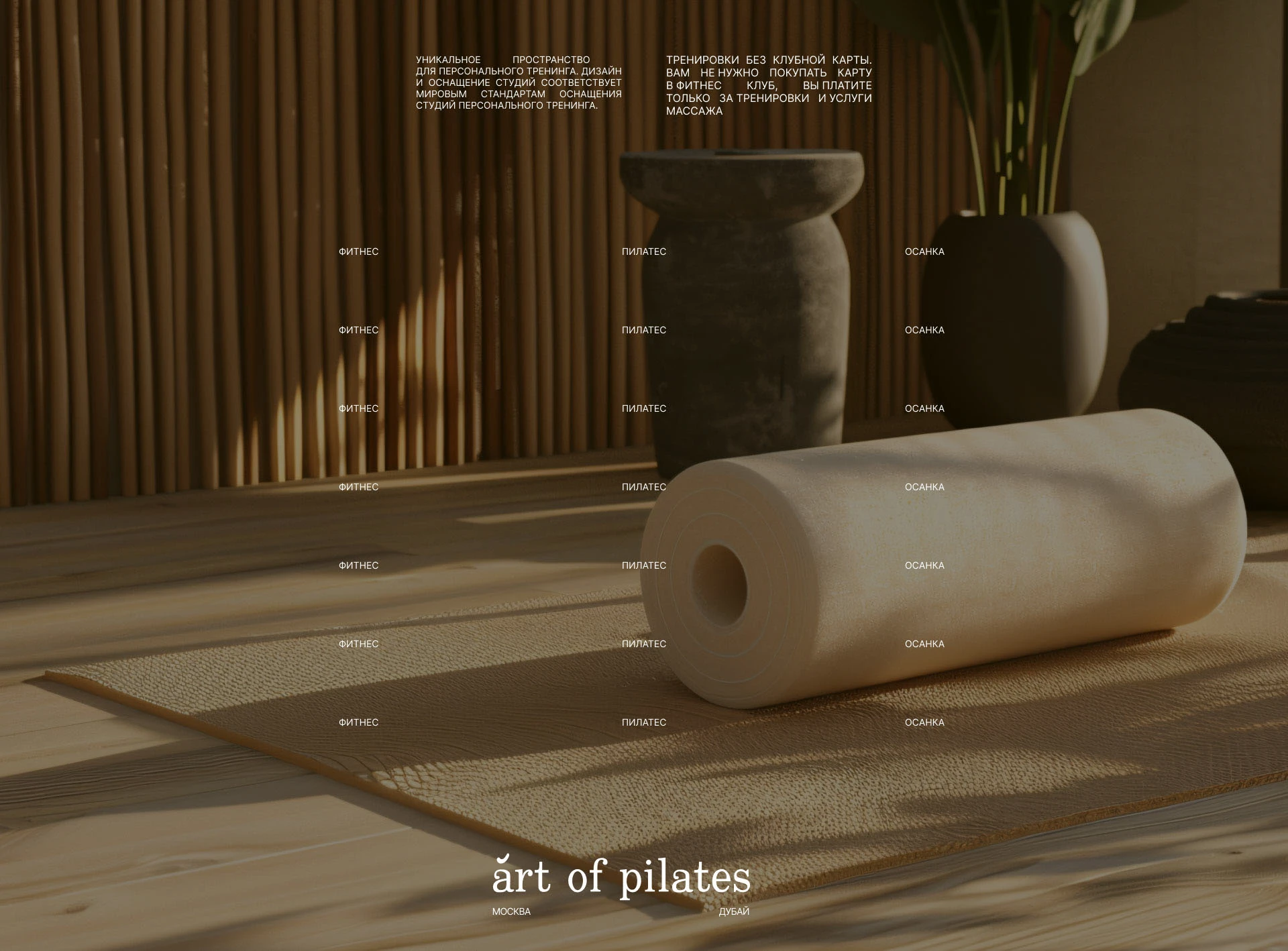 art of pilates — Изображение №6 — Брендинг на Dprofile