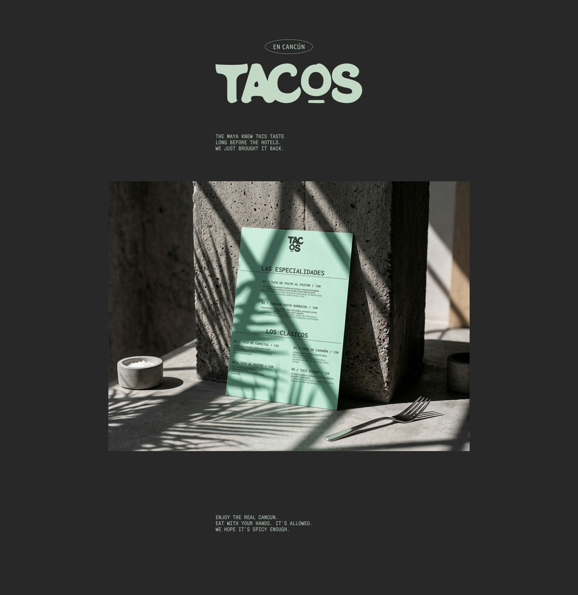 Tacos En Cancun — Изображение №27 — Брендинг на Dprofile