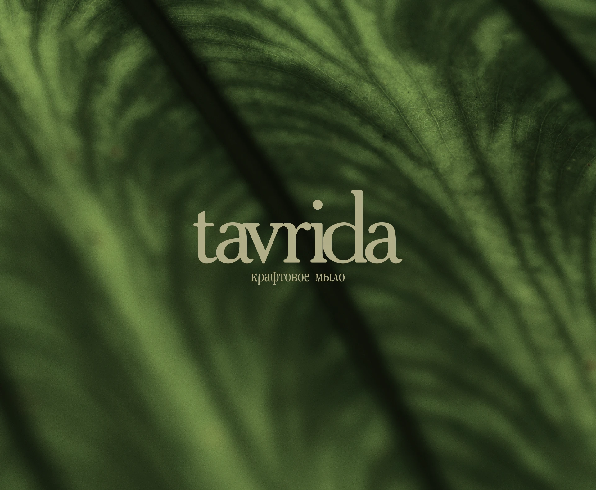 Tavrida — Изображение №1 — Брендинг на Dprofile