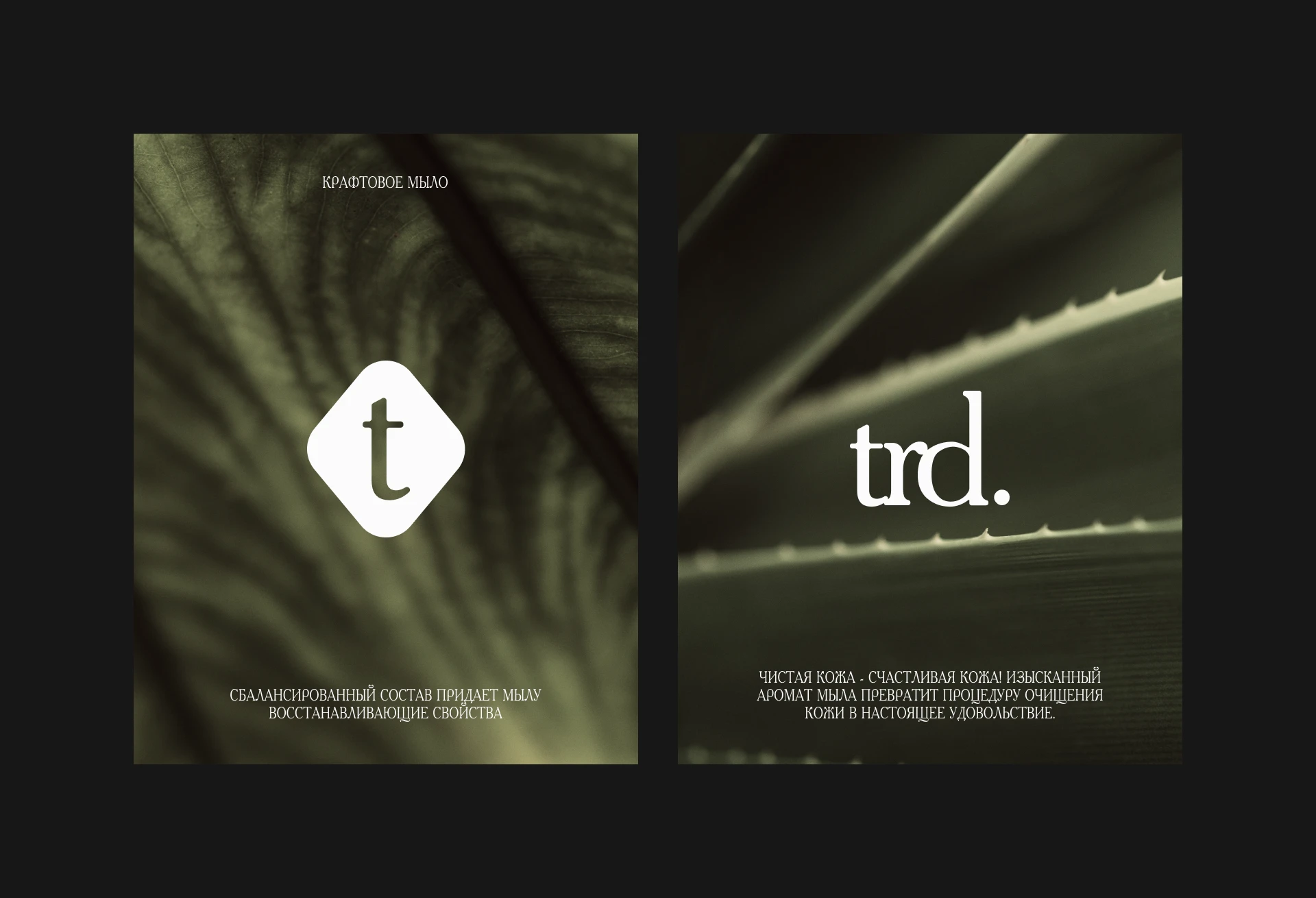 Tavrida — Изображение №8 — Брендинг на Dprofile