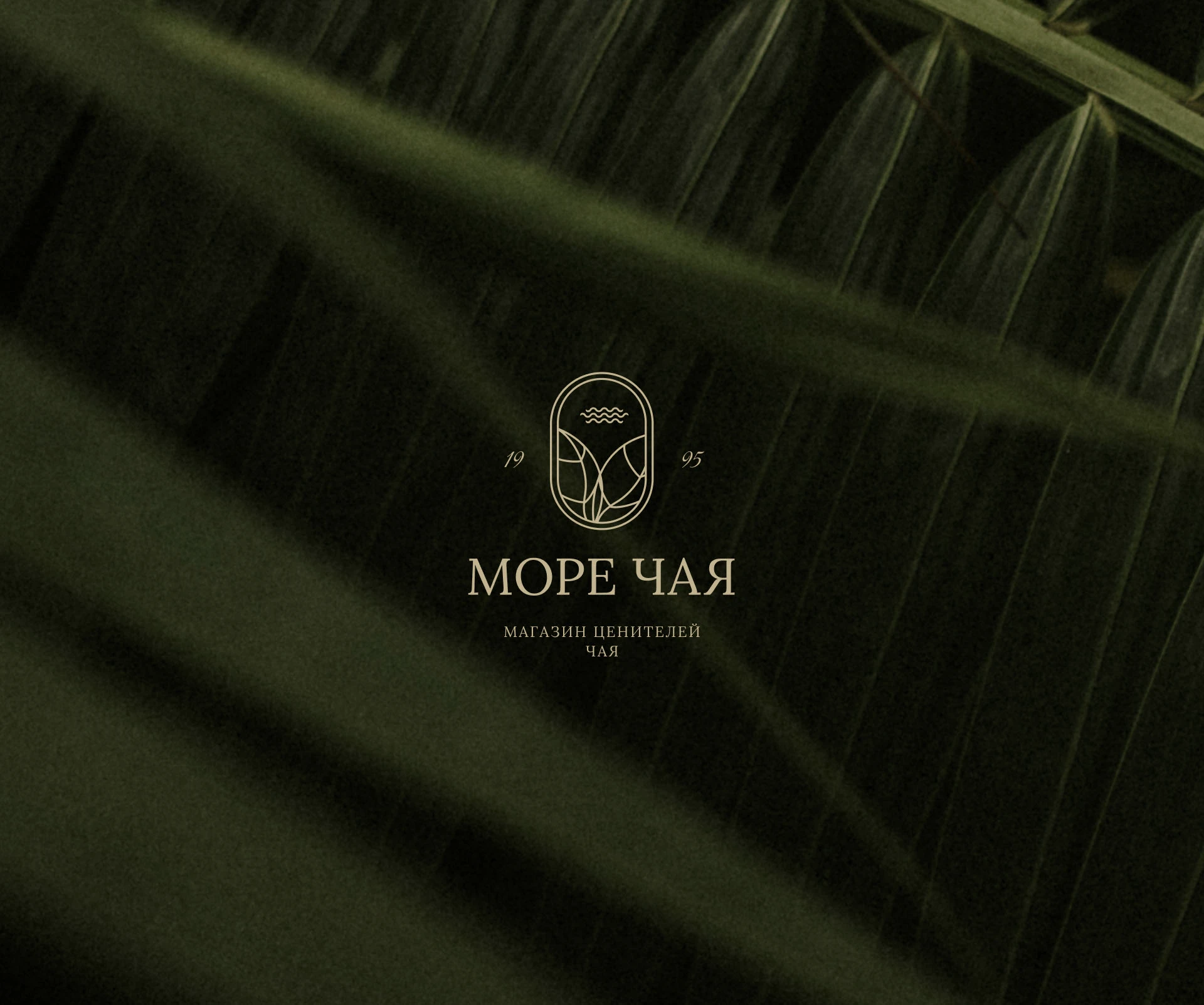 Ребрендинг магазинов чая — Изображение №1 — Брендинг на Dprofile