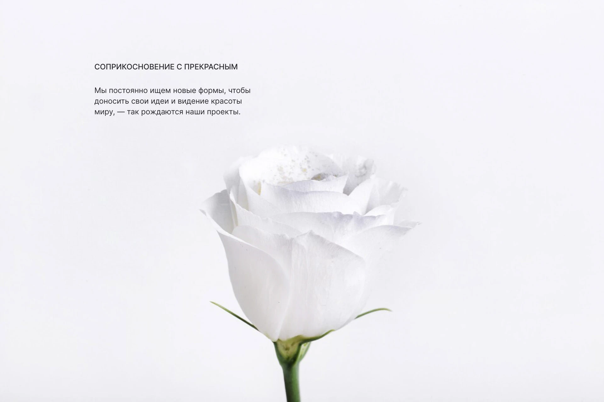 Интернет-магазин косметики — Изображение №14 — Интерфейсы, Брендинг на Dprofile