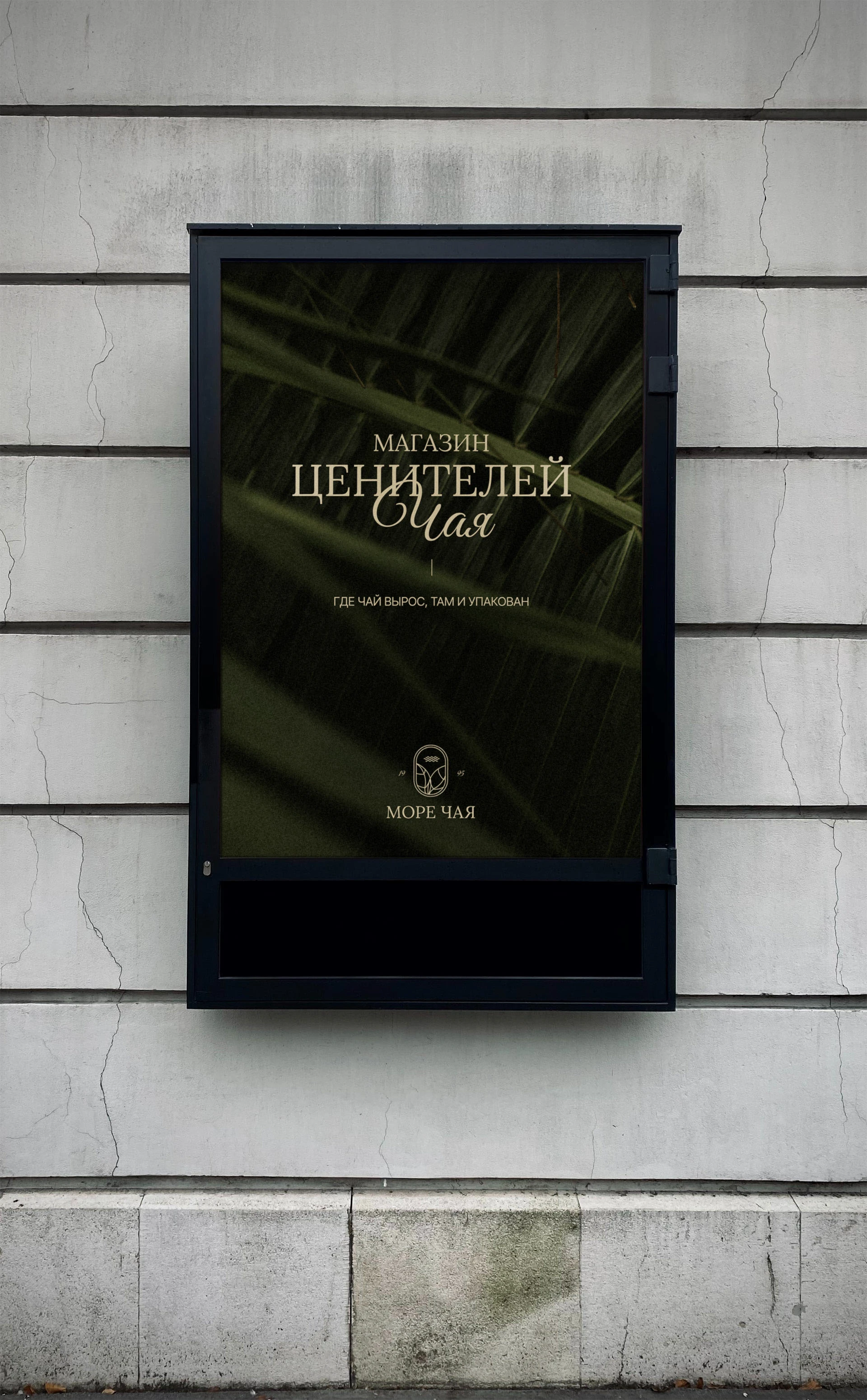 Ребрендинг магазинов чая — Изображение №11 — Брендинг на Dprofile