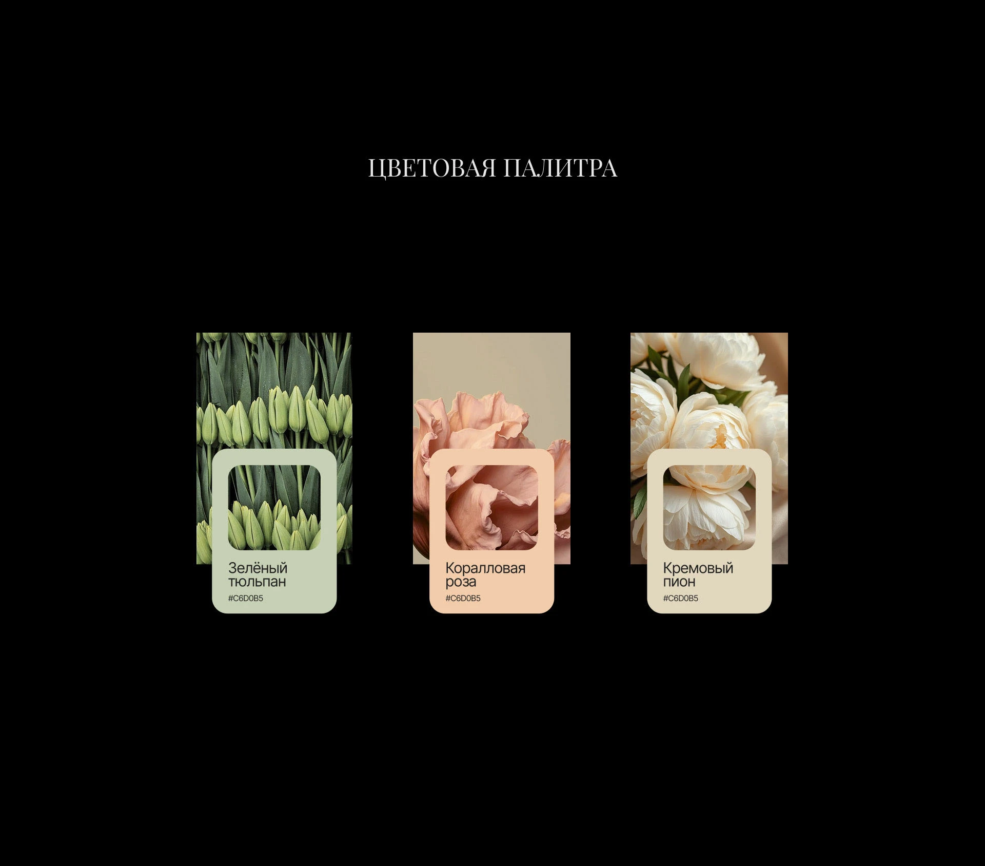 Faashion Garden, логотип — Изображение №4 — Брендинг на Dprofile