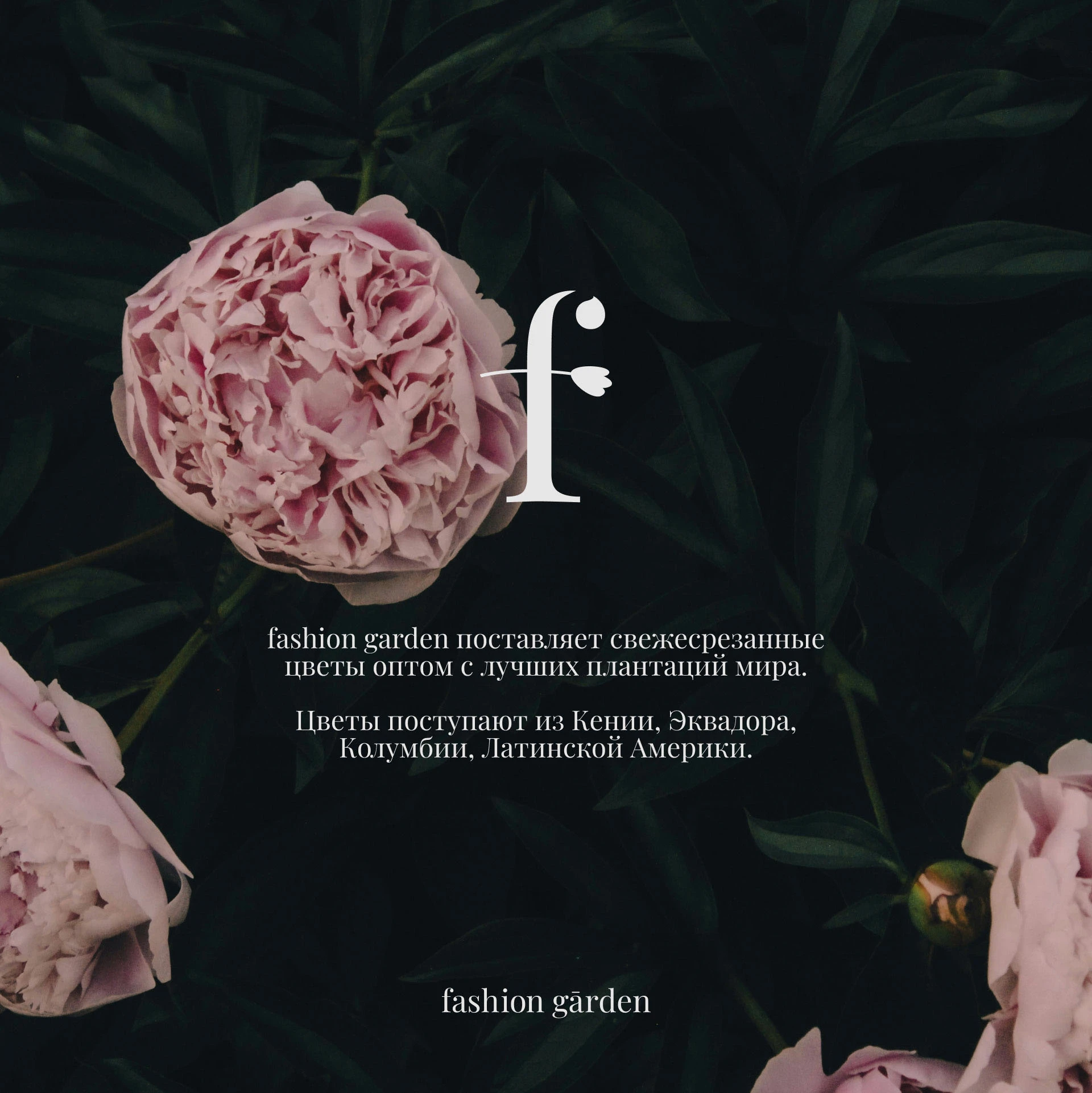 Faashion Garden, логотип — Изображение №1 — Брендинг на Dprofile
