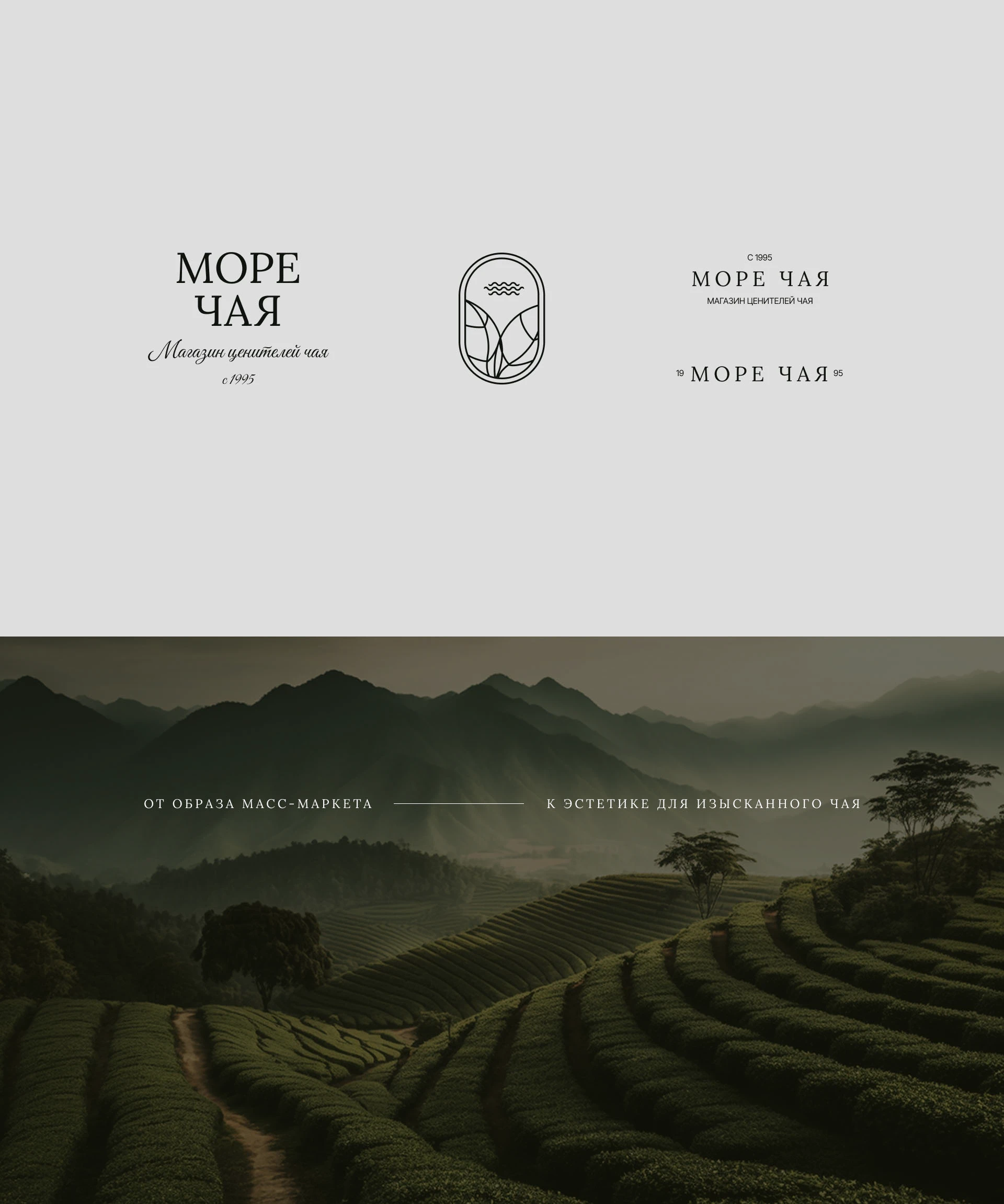 Ребрендинг магазинов чая — Изображение №7 — Брендинг на Dprofile