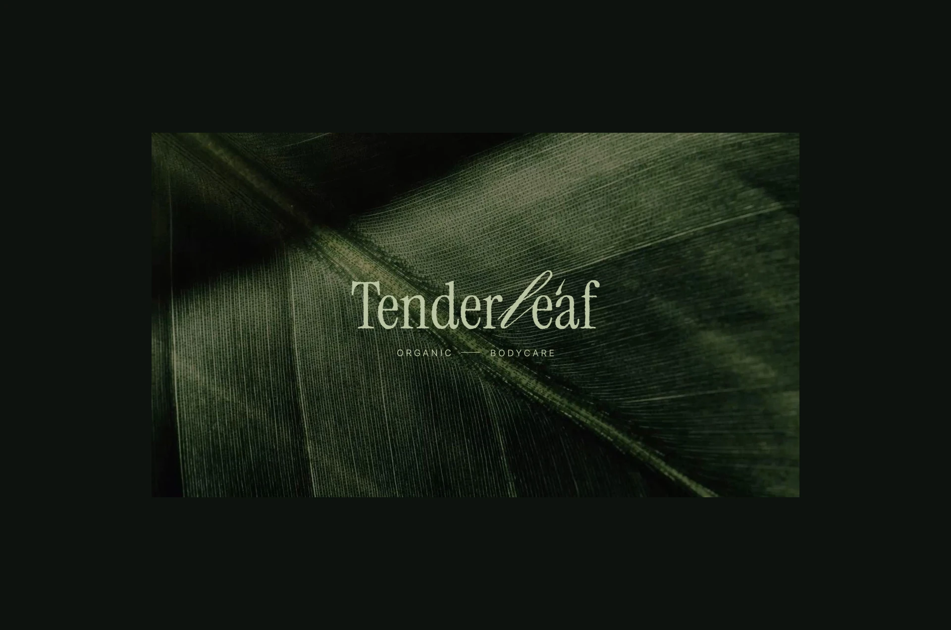 Tenderleaf — Изображение №8 — Брендинг на Dprofile