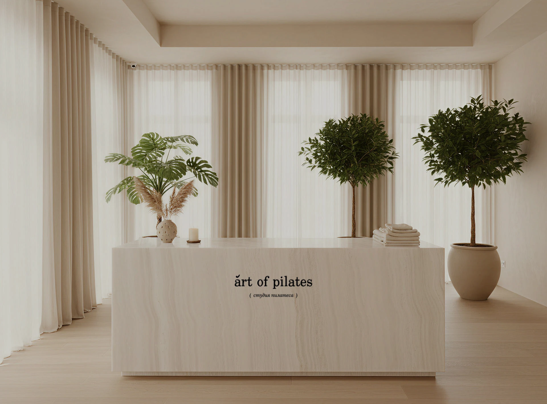 art of pilates — Изображение №1 — Брендинг на Dprofile