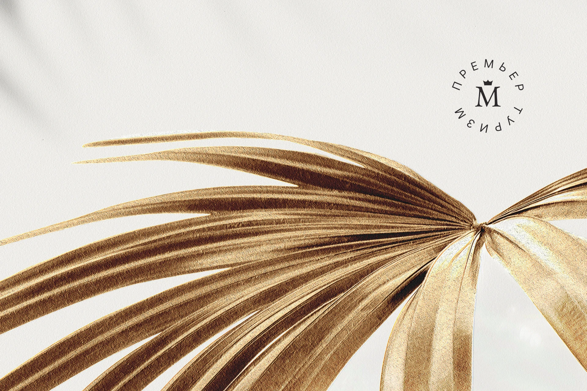 Премьер туризм — Изображение №10 — Брендинг на Dprofile