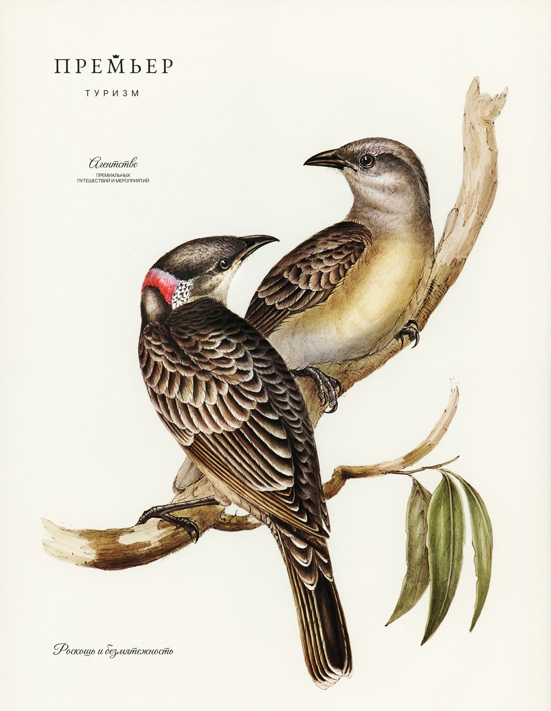 Премьер туризм — Изображение №4 — Брендинг на Dprofile