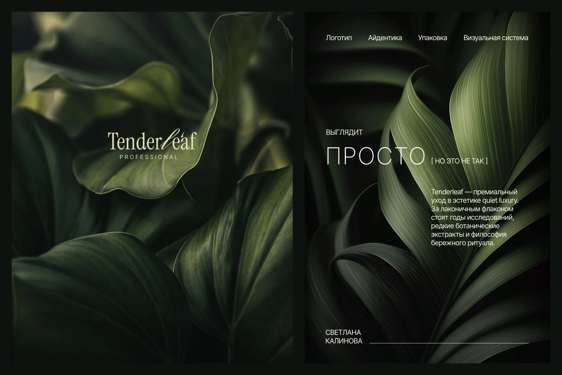 Tenderleaf — Изображение №3 — Брендинг на Dprofile