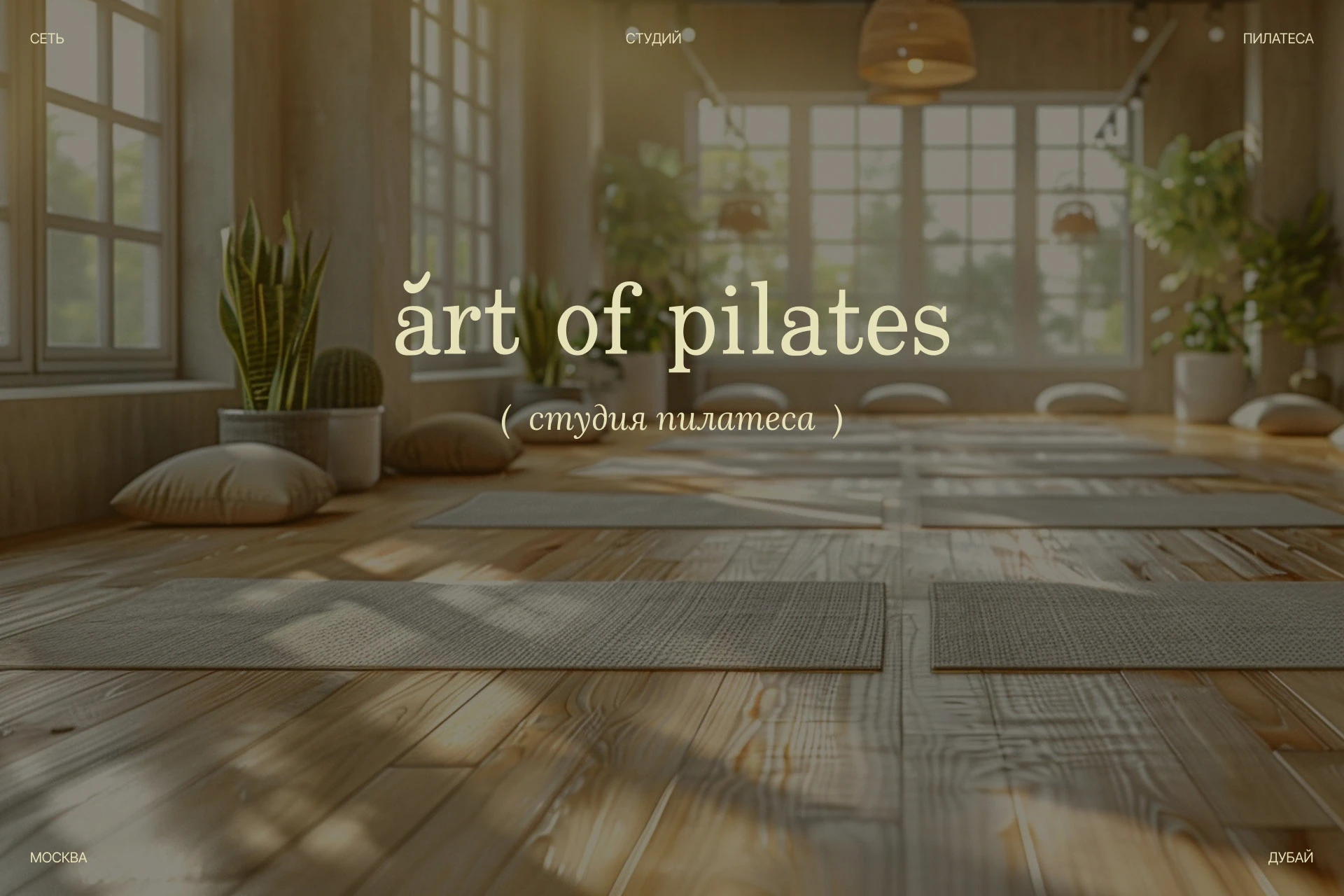 art of pilates — Изображение №3 — Брендинг на Dprofile