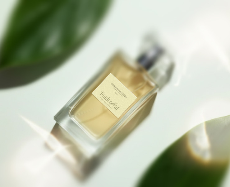 Tenderleaf — Брендинг на Dprofile