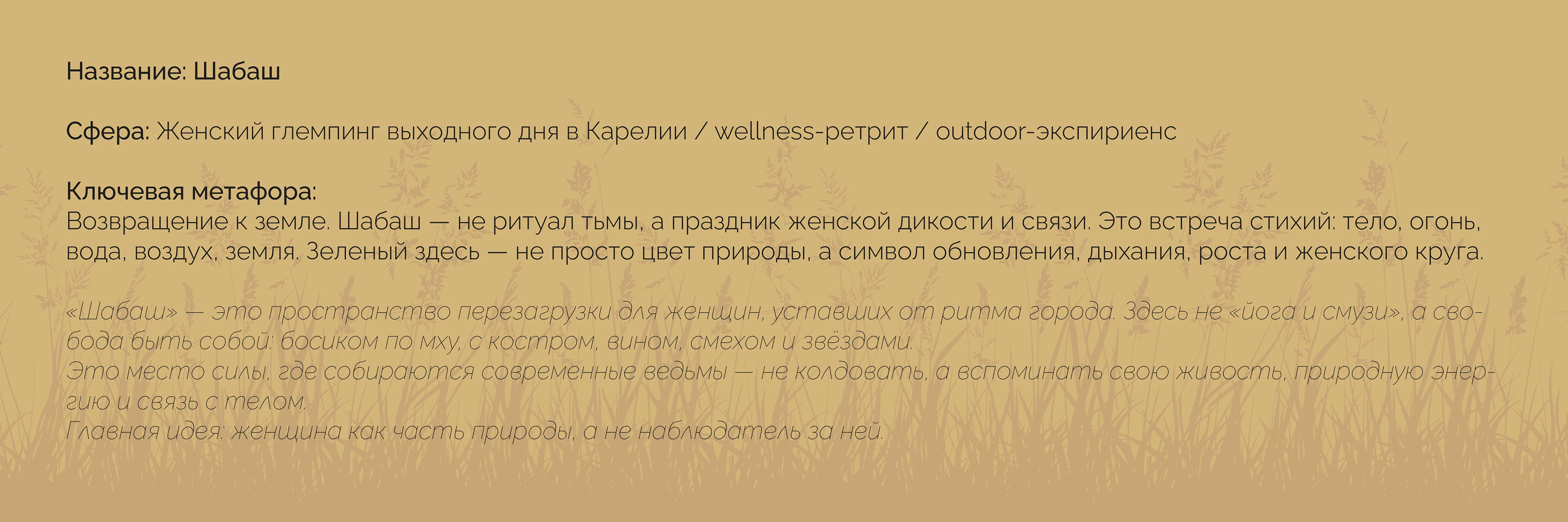 SHABASH | Wellness Retreat Brand Identity — Изображение №2 — Брендинг на Dprofile