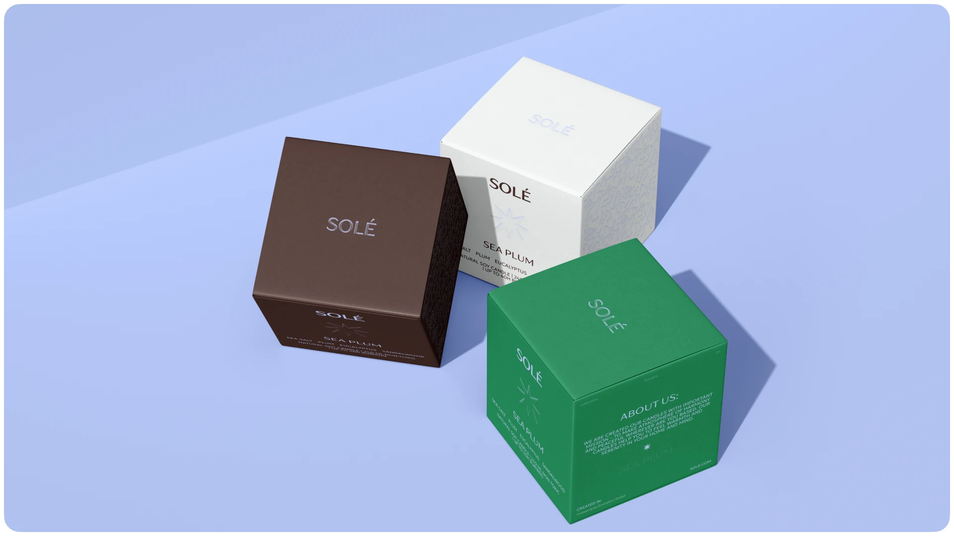SOLÉ — Candle Brand Identity — Изображение №2 — Брендинг на Dprofile